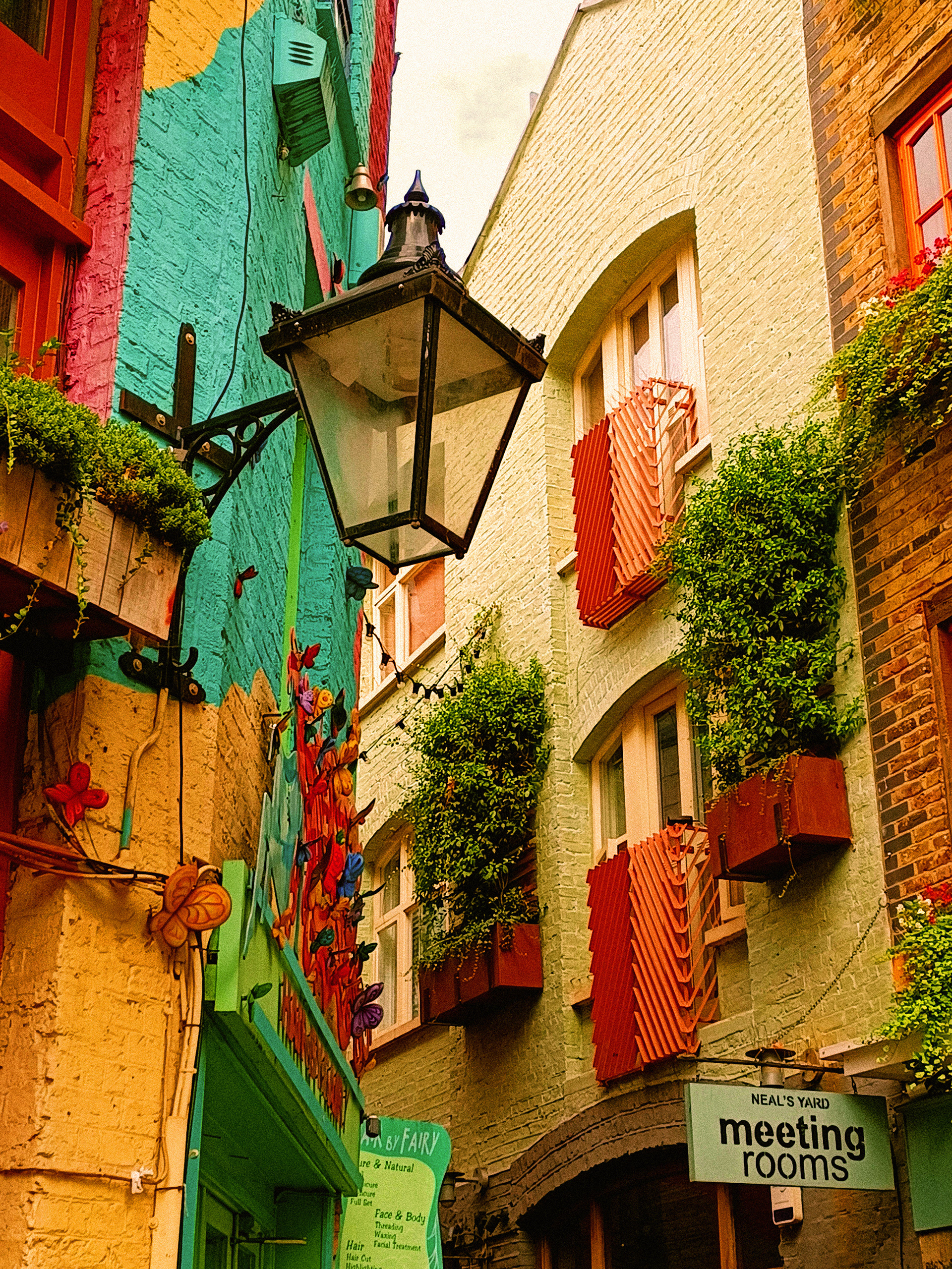"neal's yard" / 2022