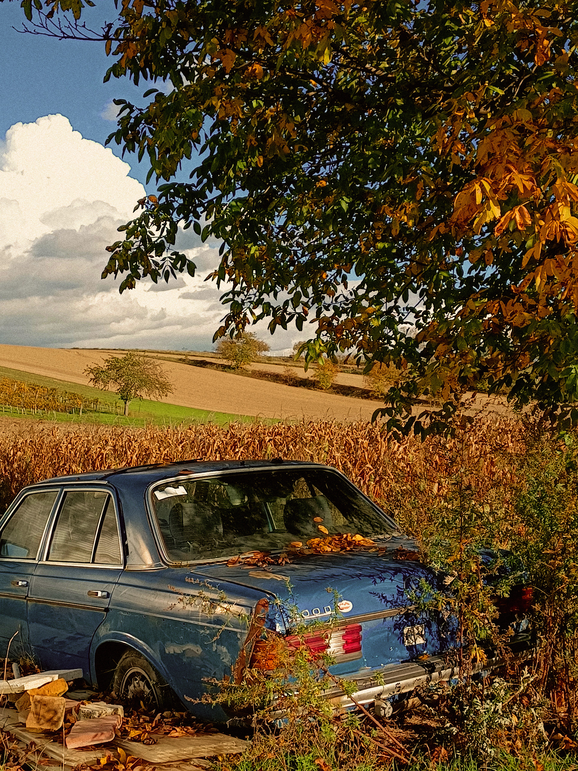 "old blue car" / 2022