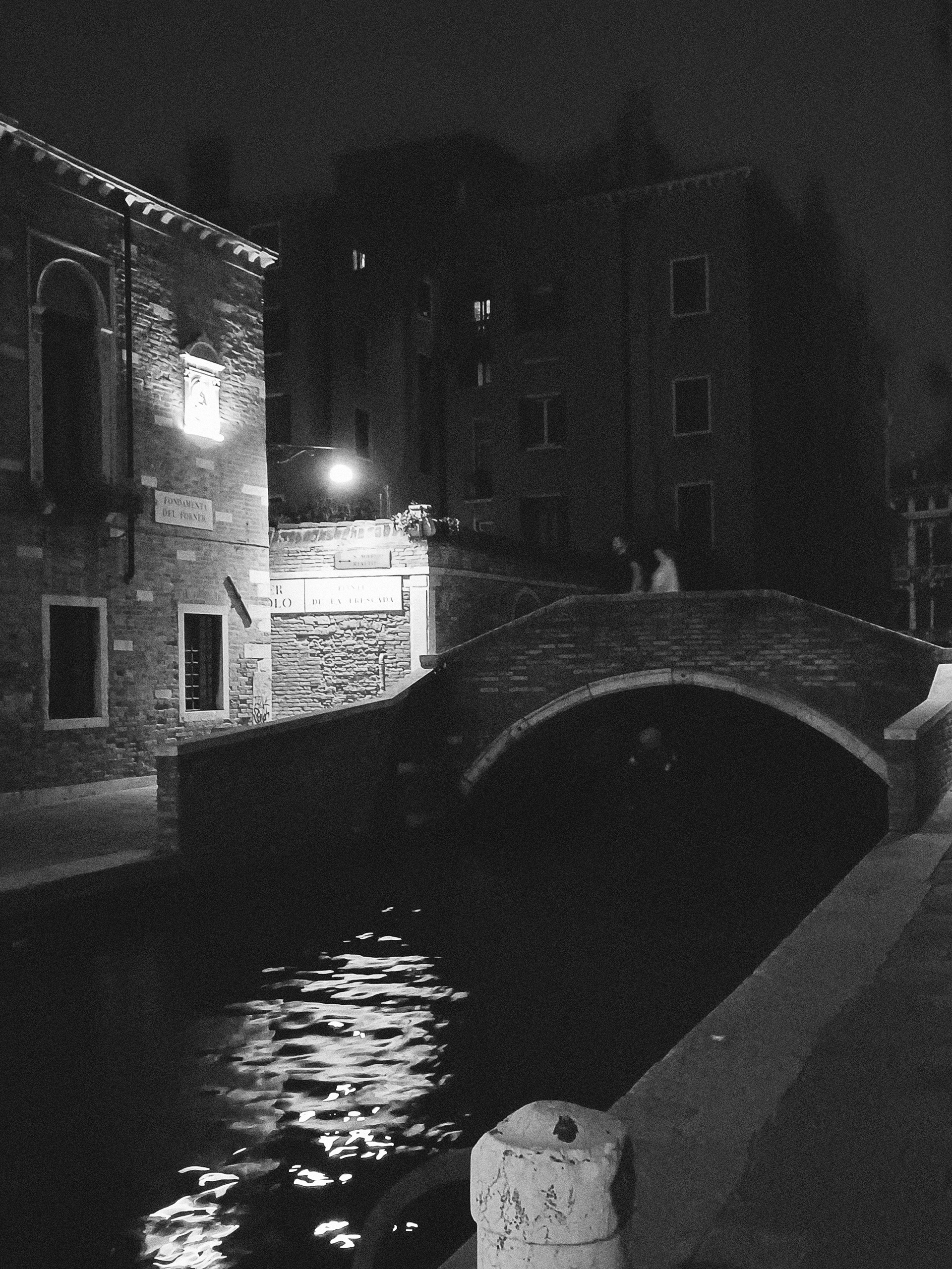 "a night in venice" / 2022