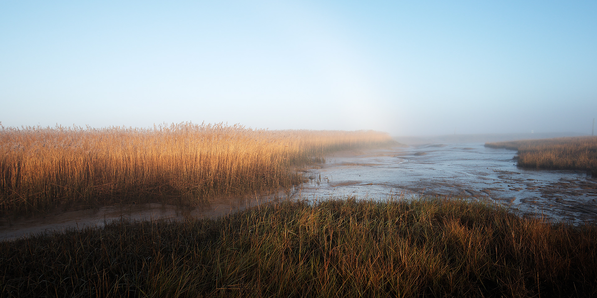 Fogbow in the mist Brancaster