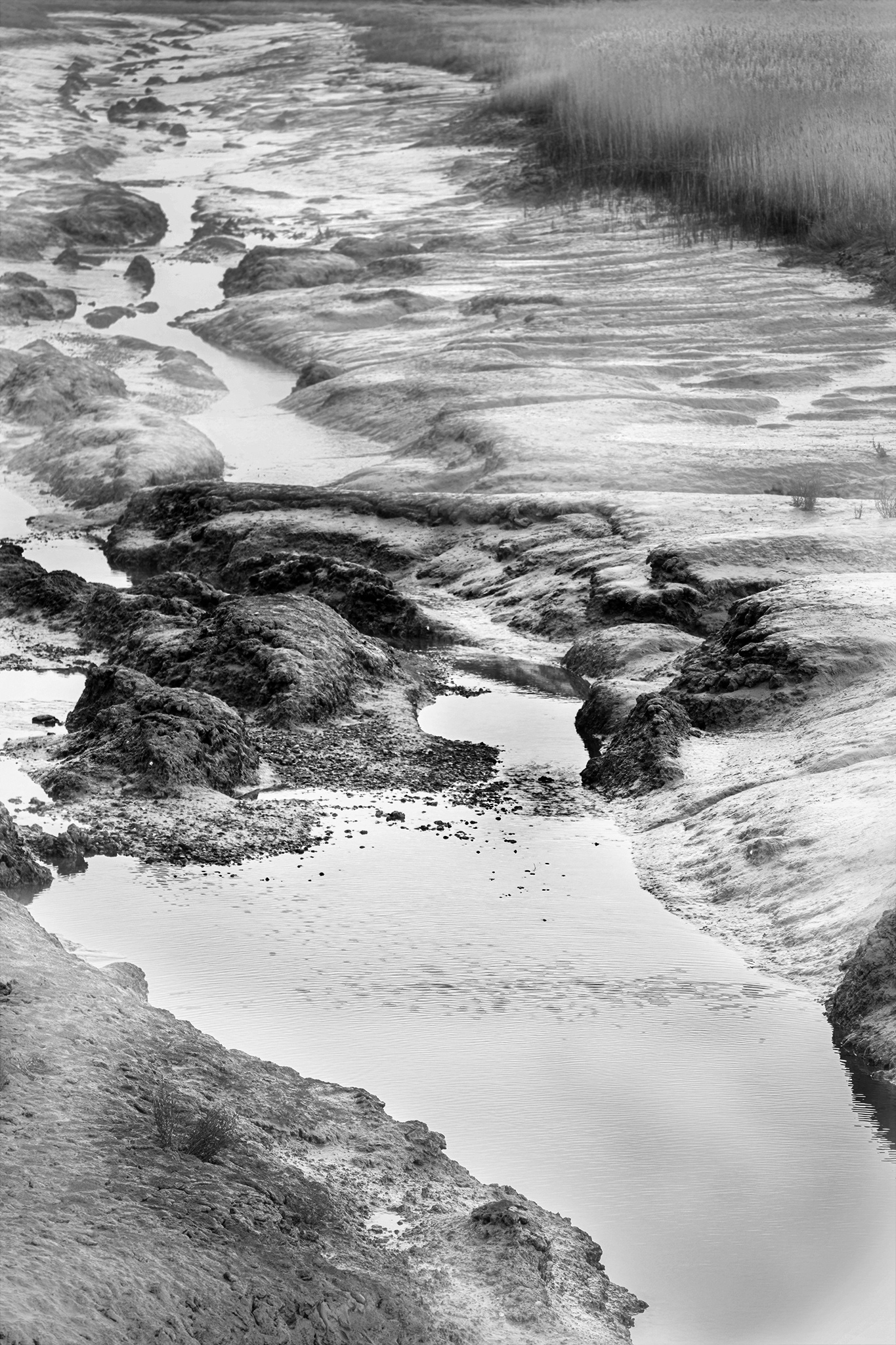Titchwell Mud