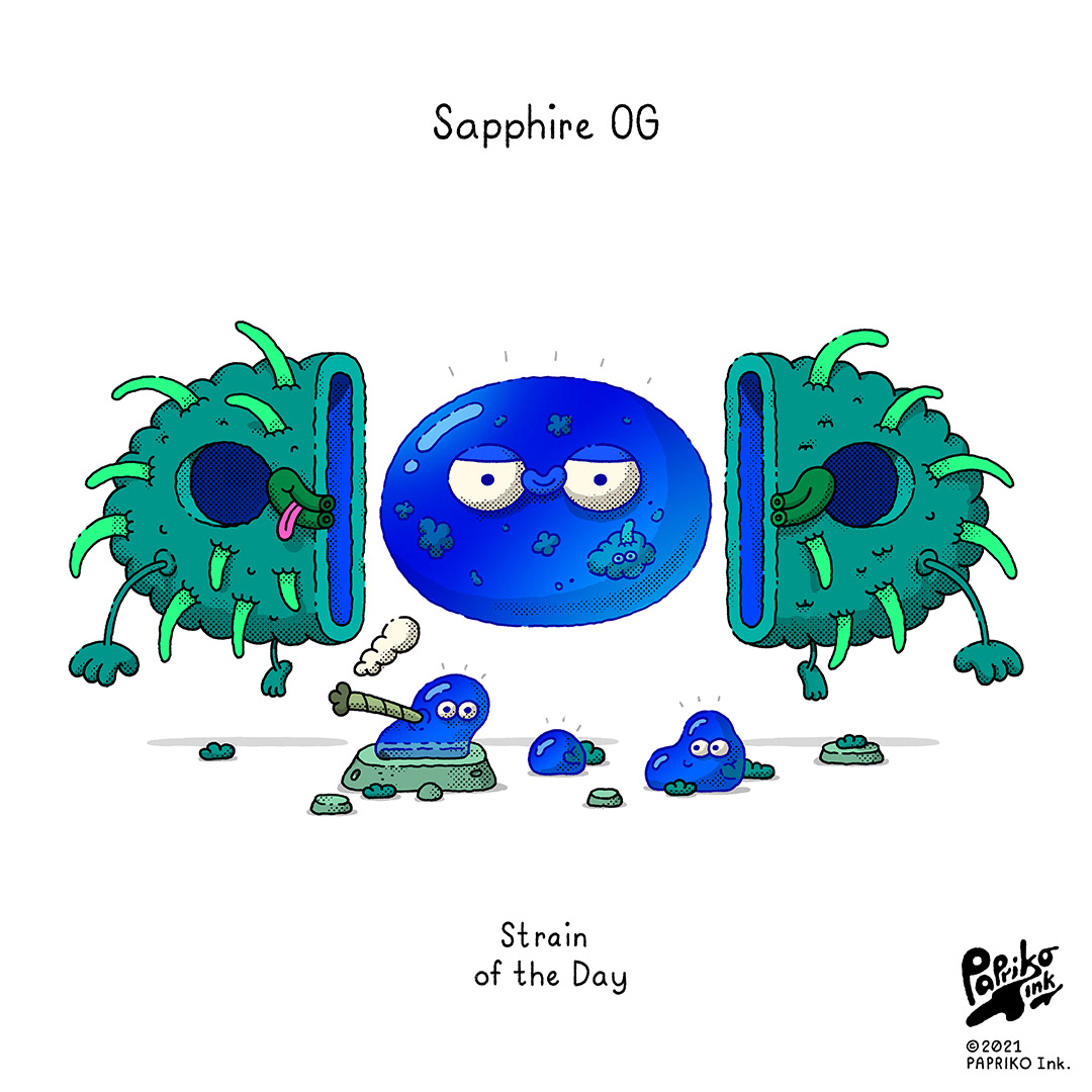 #329