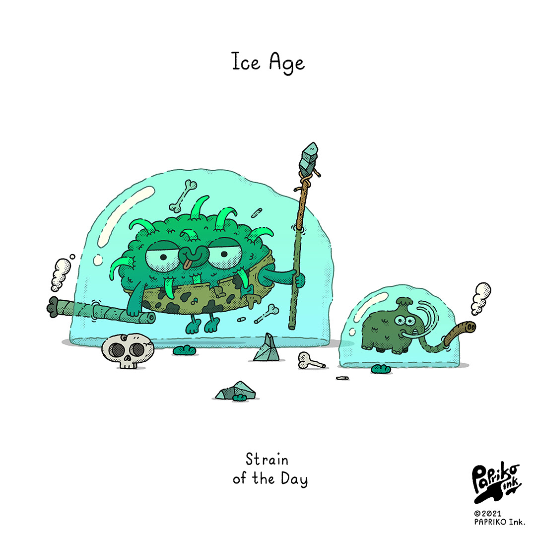#306