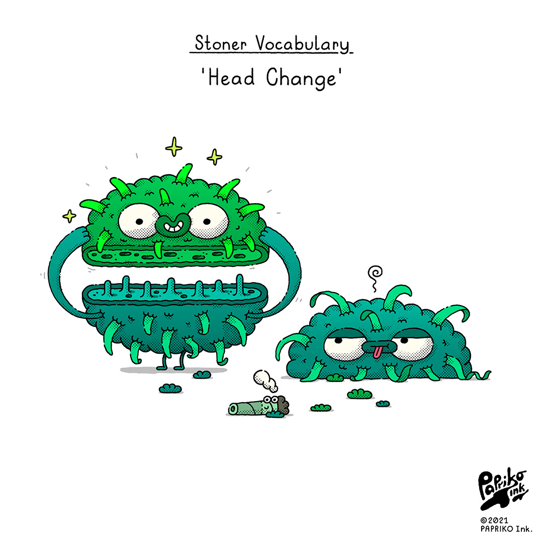SV - #033