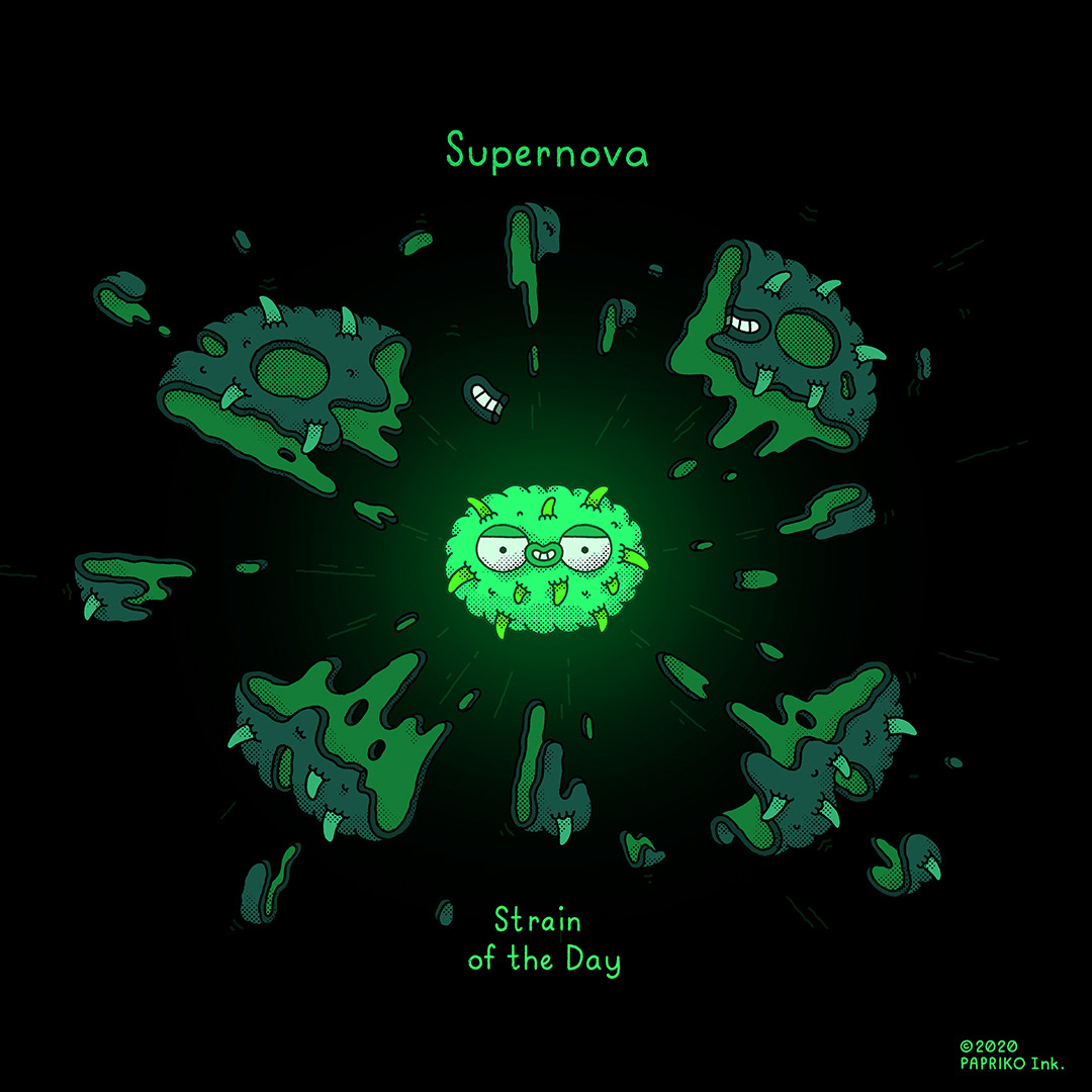 #190