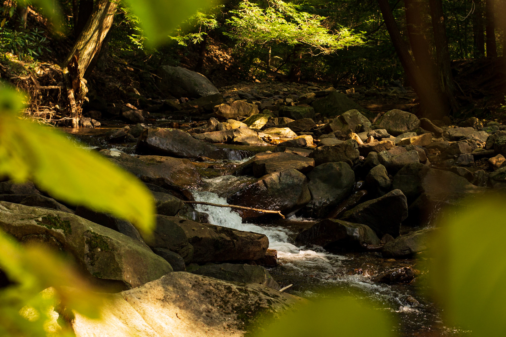 Ricketts Glen State Park