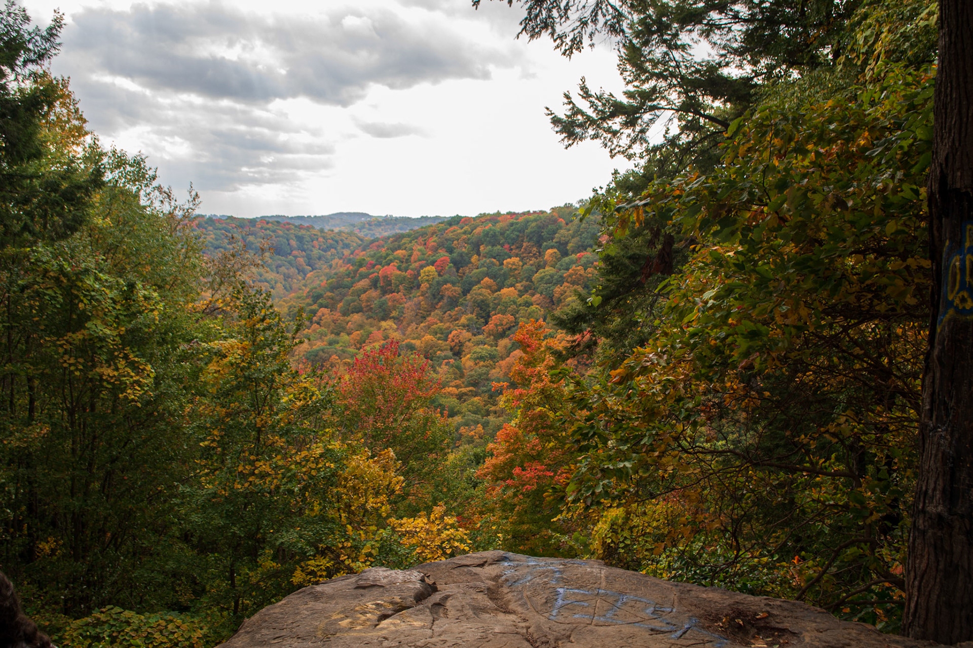 Cleland Rock - McConnells Mill State Park