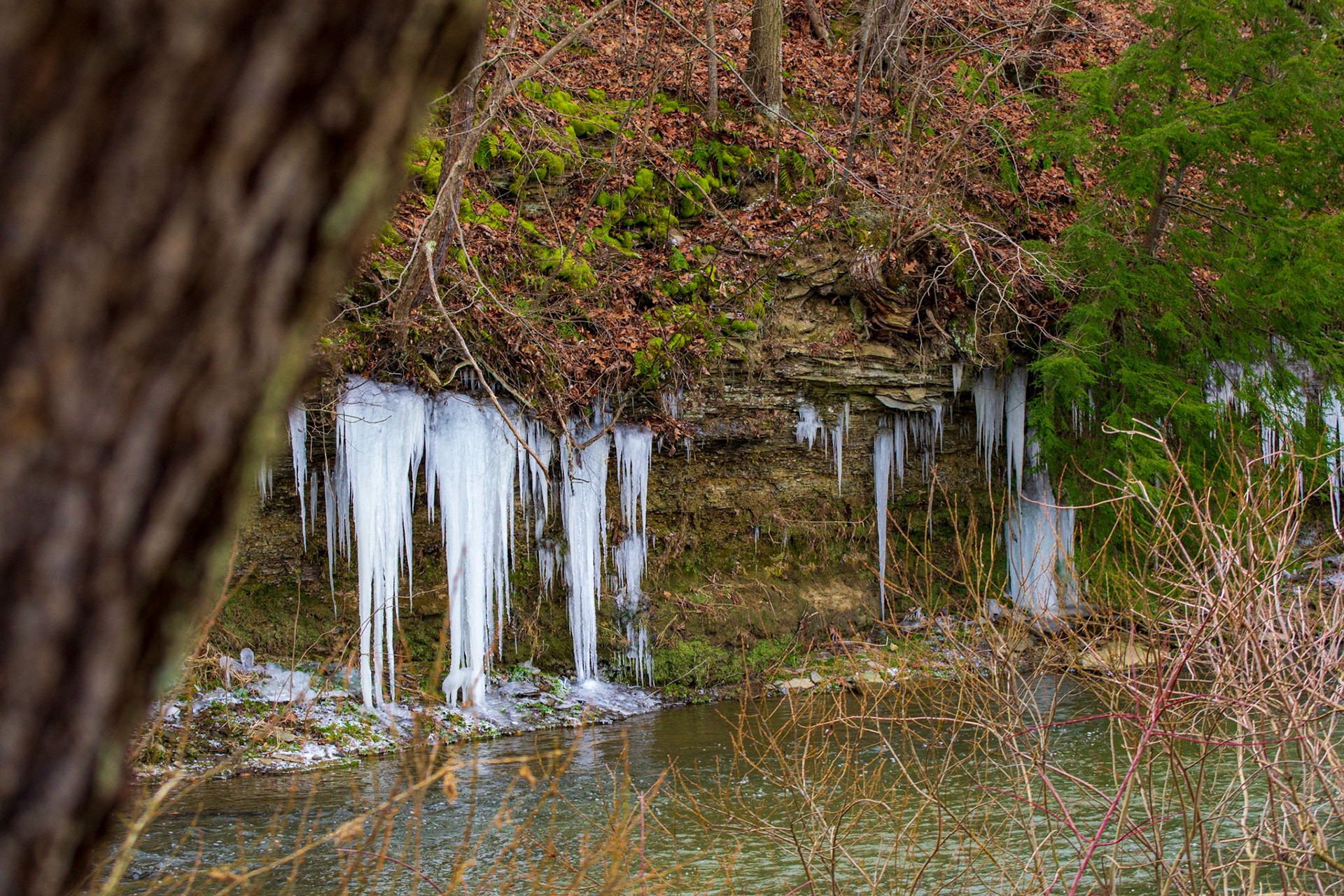 Icicles at Green Valley Park 