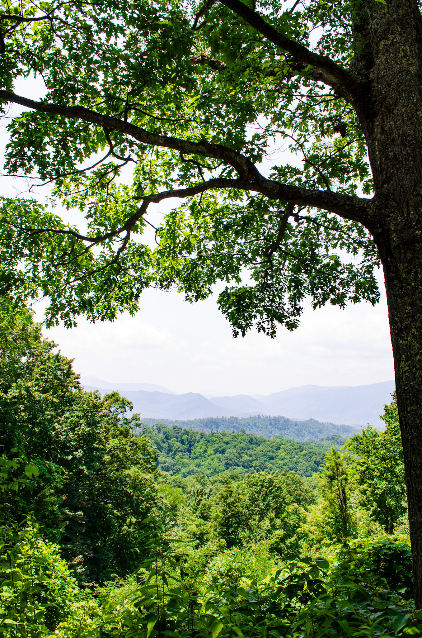 Great Smoky Mountains - Gaitlinburg, TN