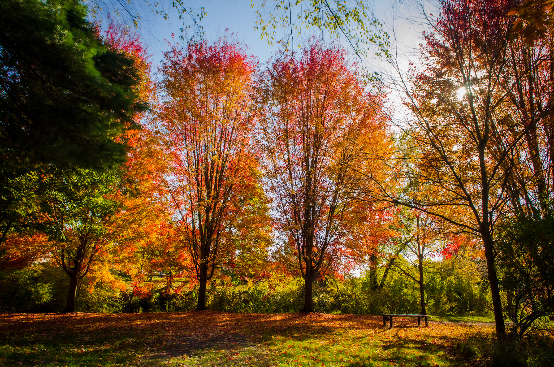 Grove City College - Wolf Creek Trail
