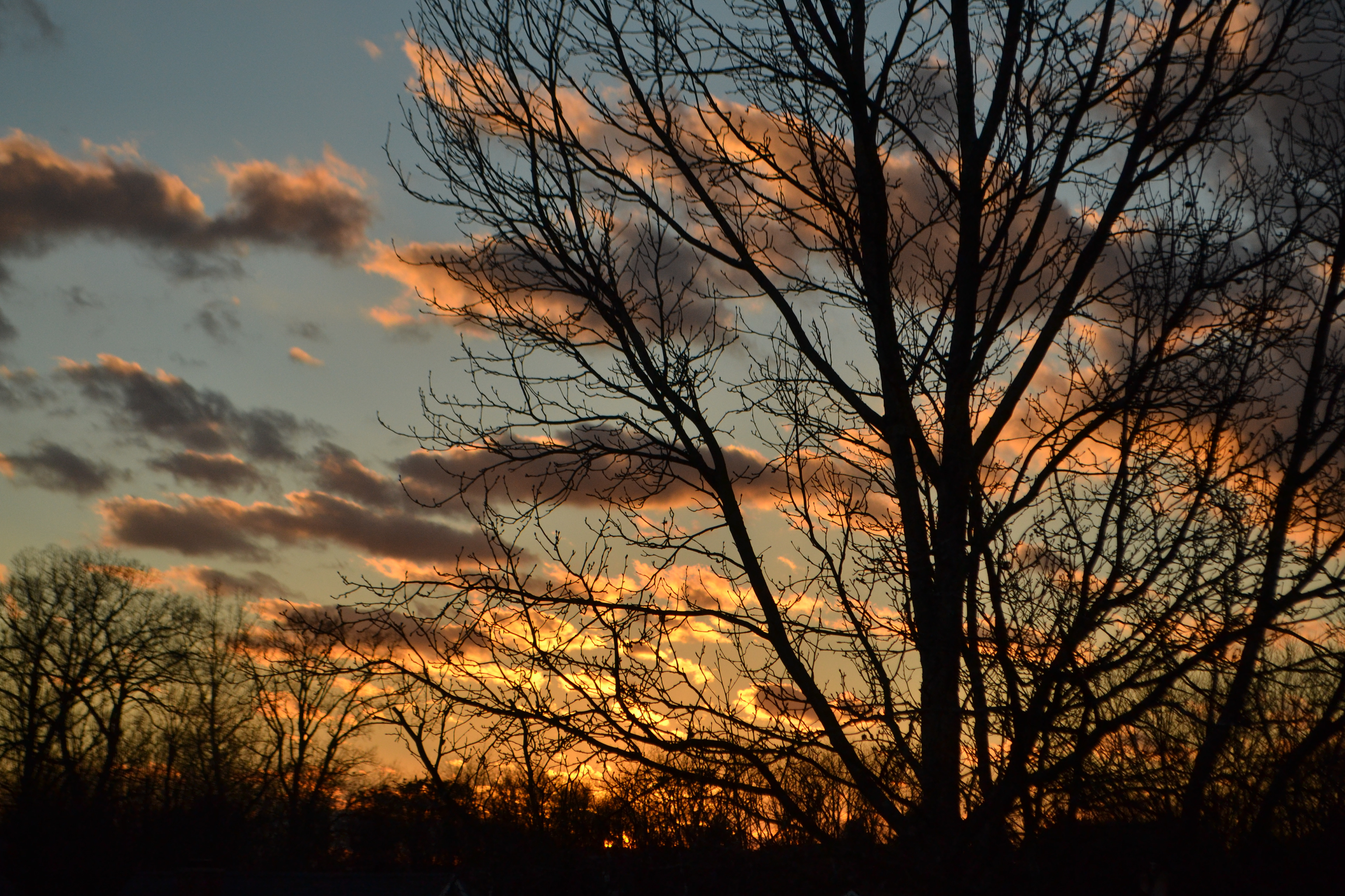 Winter Sunset