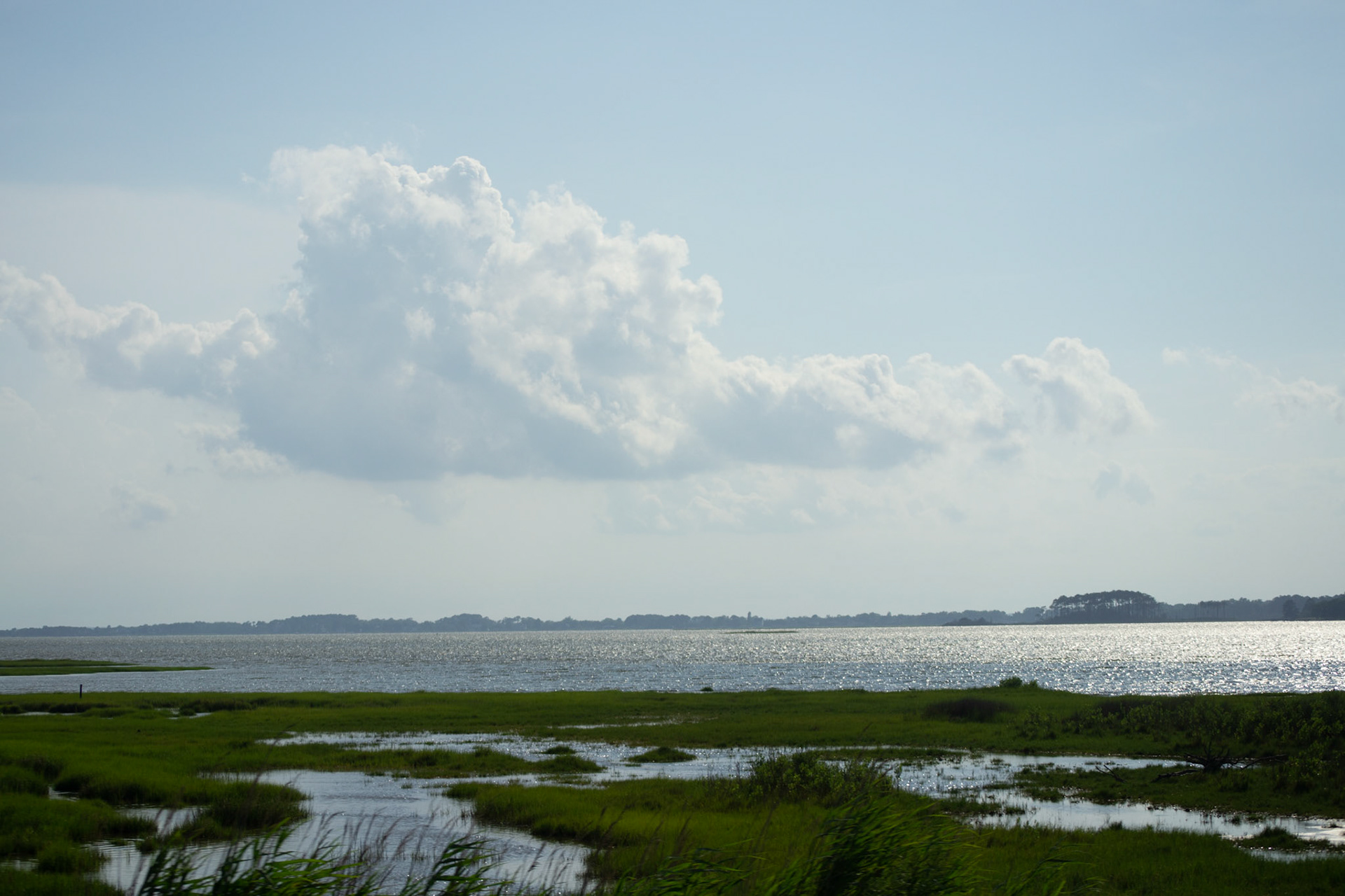 The bay side - Ocean City, MD