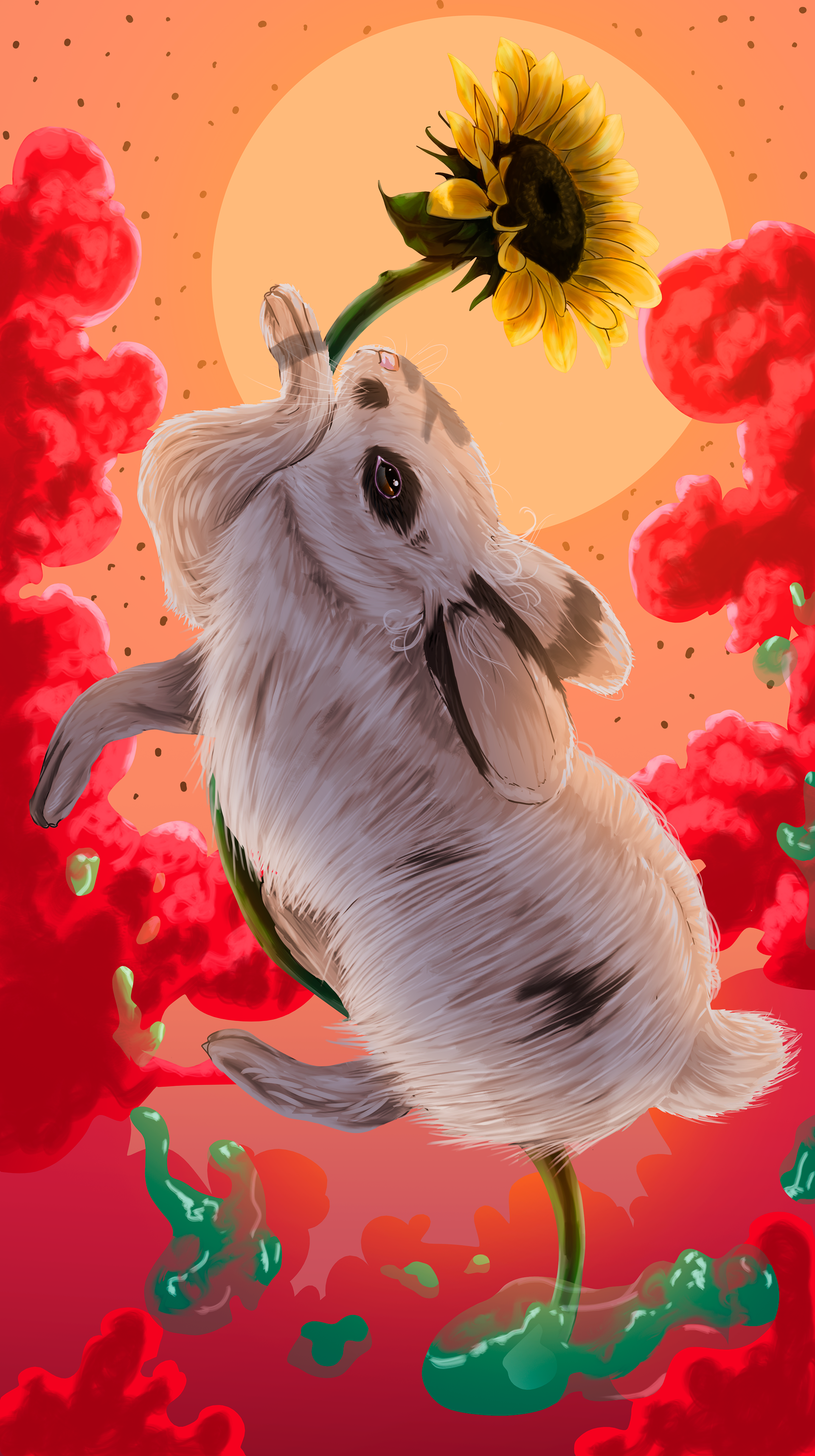 My gf rabbit "Rabbi"