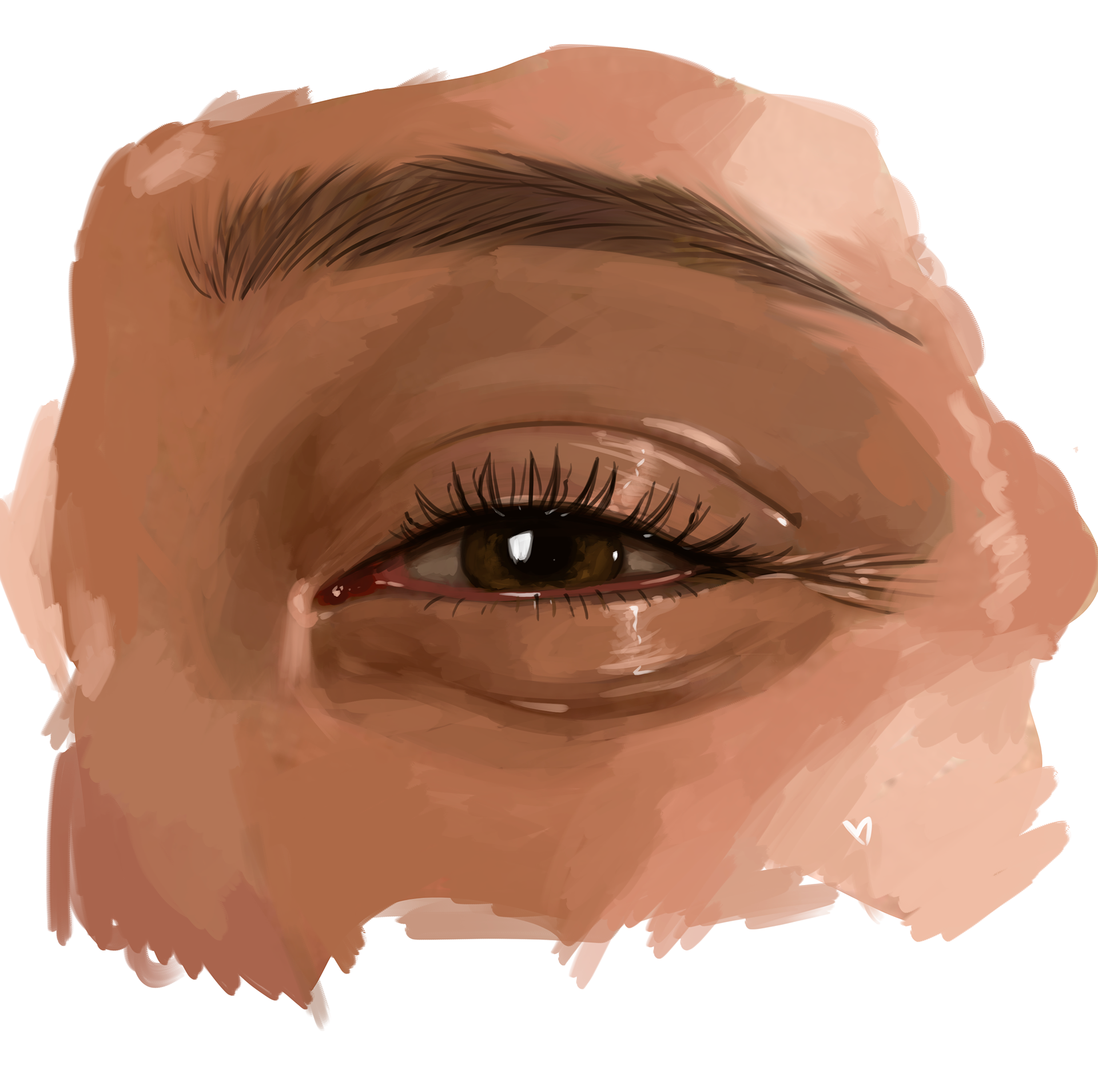 Brushed eye