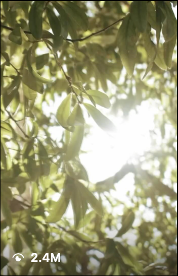 https://www.instagram.com/reel/Cpsdik9pLqn/?utm_source=ig_web_copy_link&igsh=MzRlODBiNWFlZA==