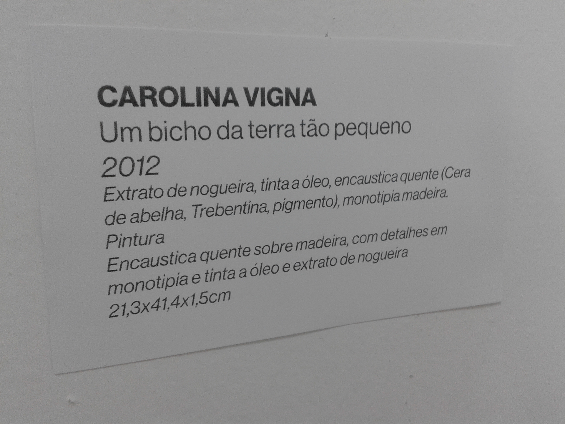 Exposição coletiva na Belas Artes (São Paulo, 2014)