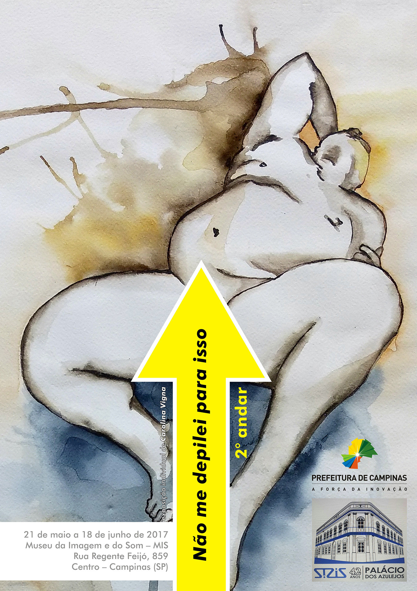 Exposição individual Não me depilei para isso, no Museu da Imagem e do Som (Campinas, SP, 2017).