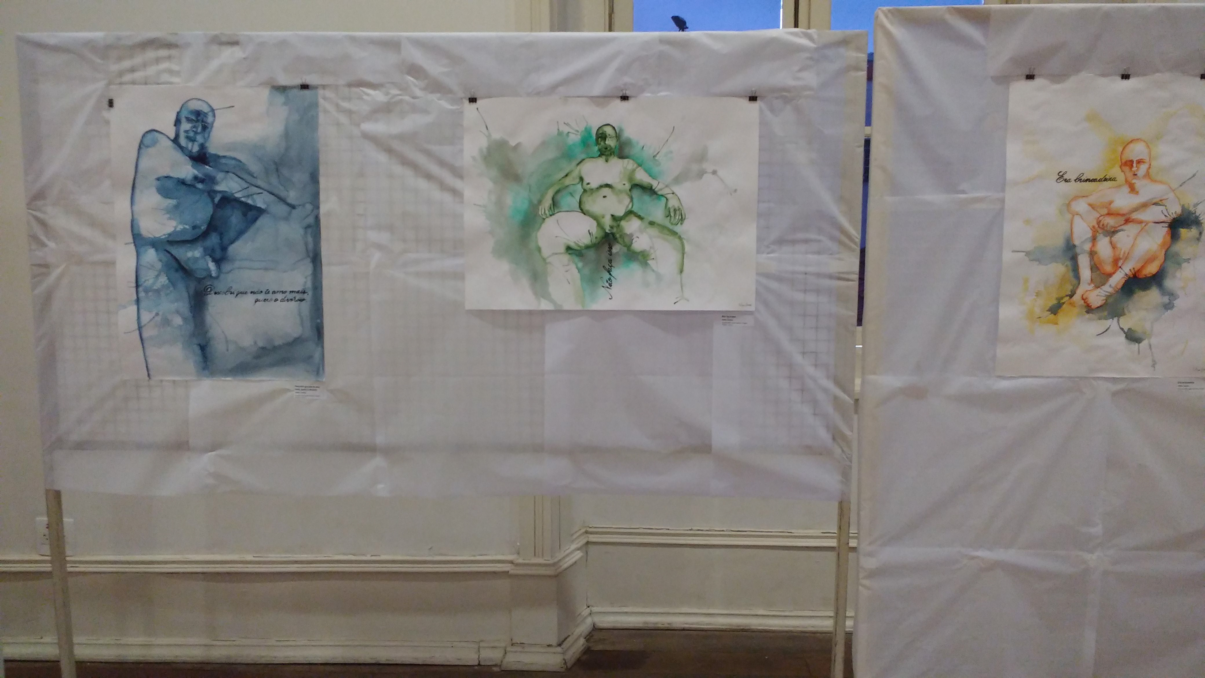 Exposição individual Não me depilei para isso, no Museu da Imagem e do Som (Campinas, SP, 2017).