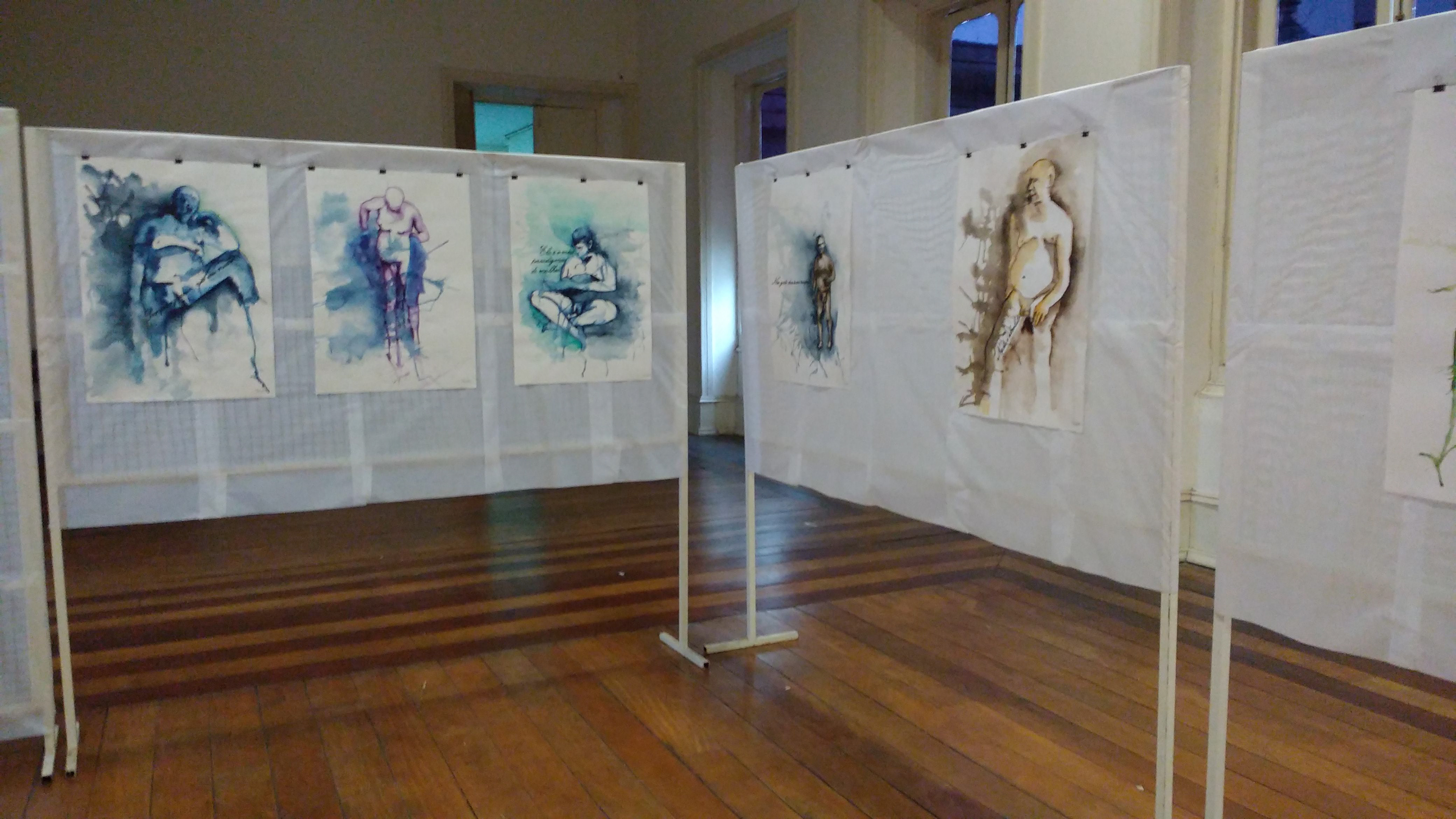 Exposição individual Não me depilei para isso, no Museu da Imagem e do Som (Campinas, SP, 2017).