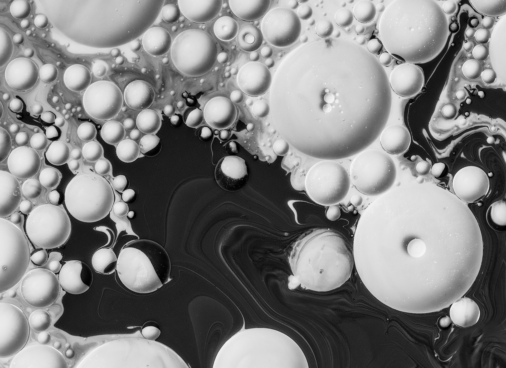 Pearls of the Black Sea