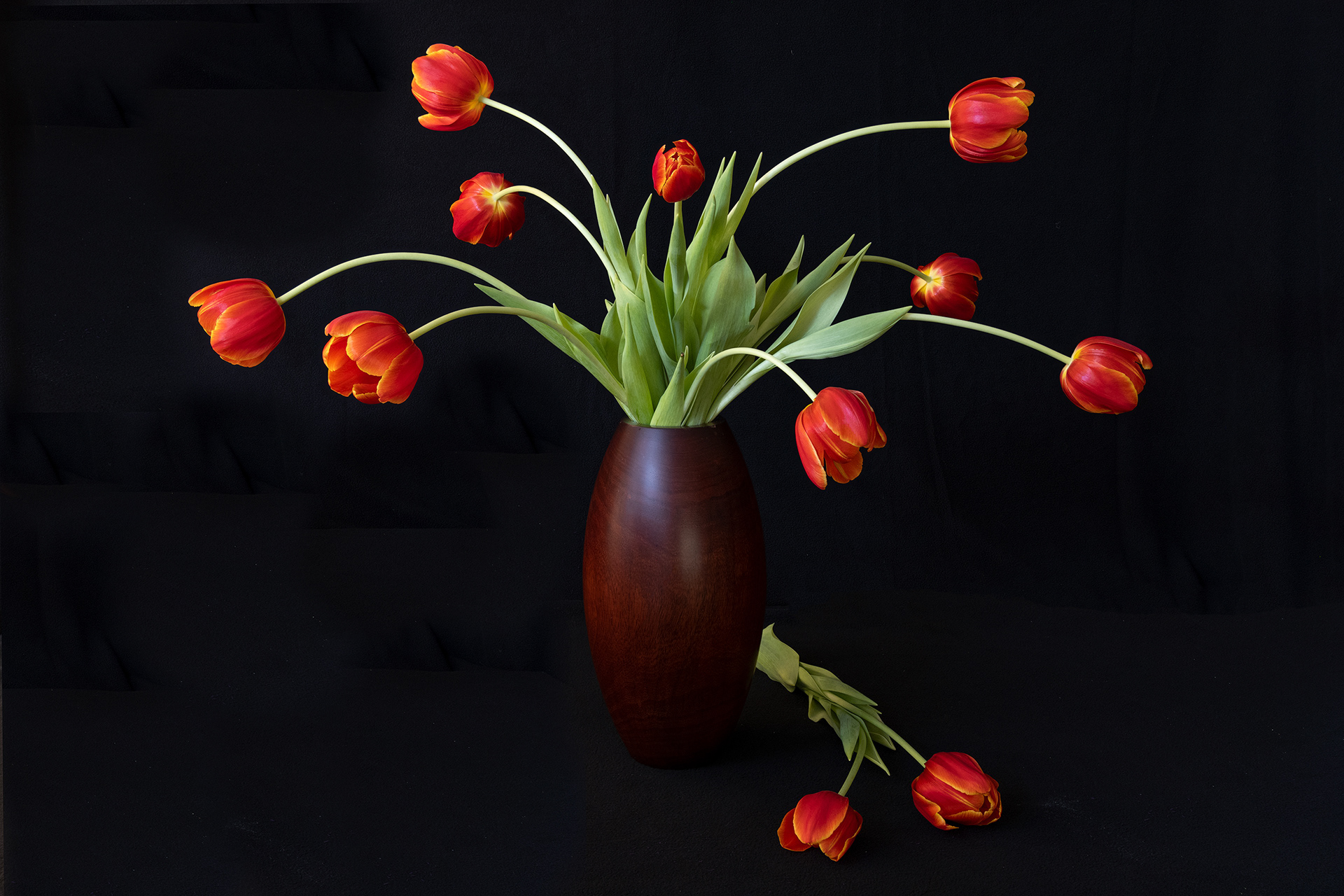 Tulips