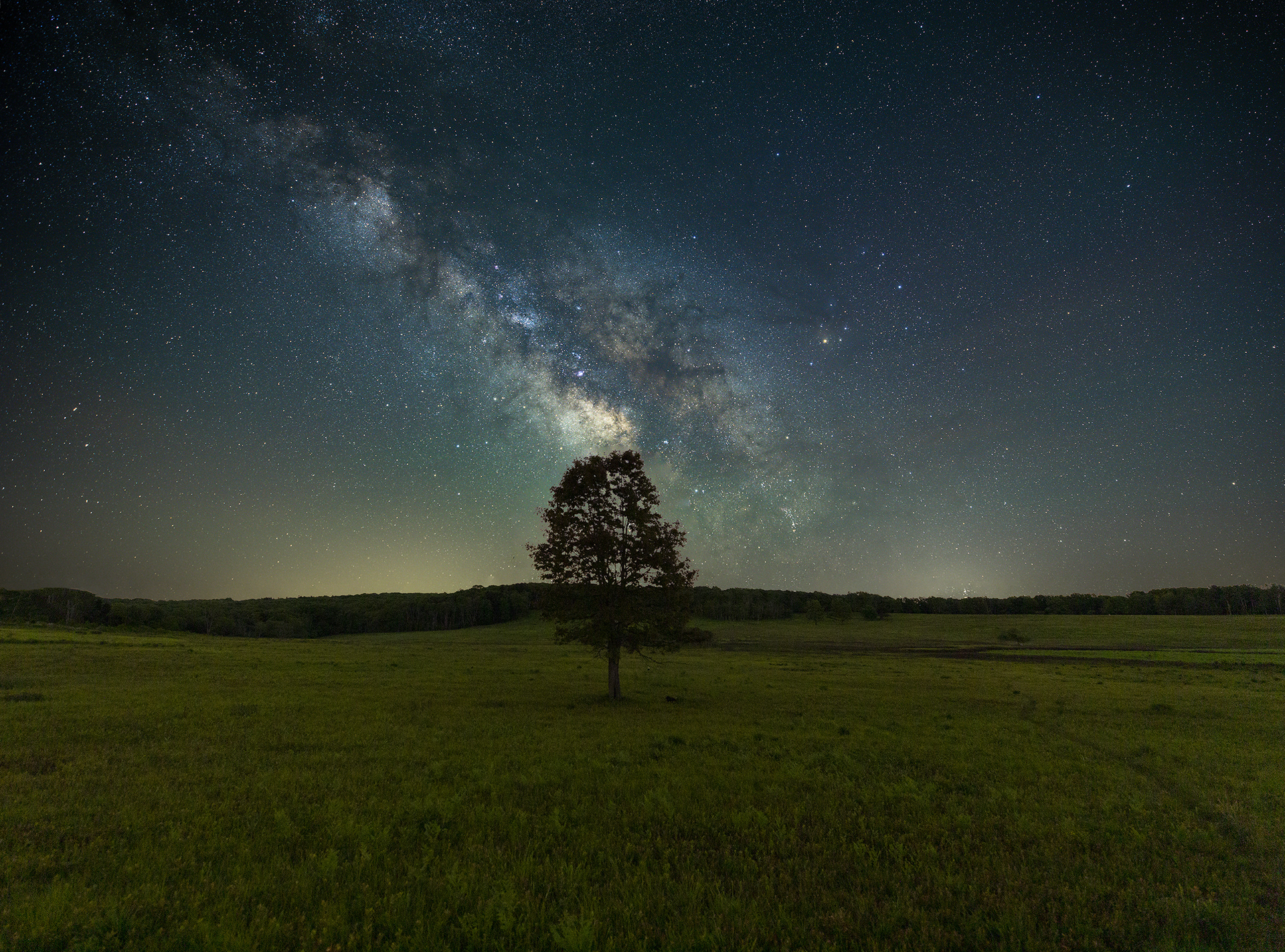 Standing Tall under the Milky
