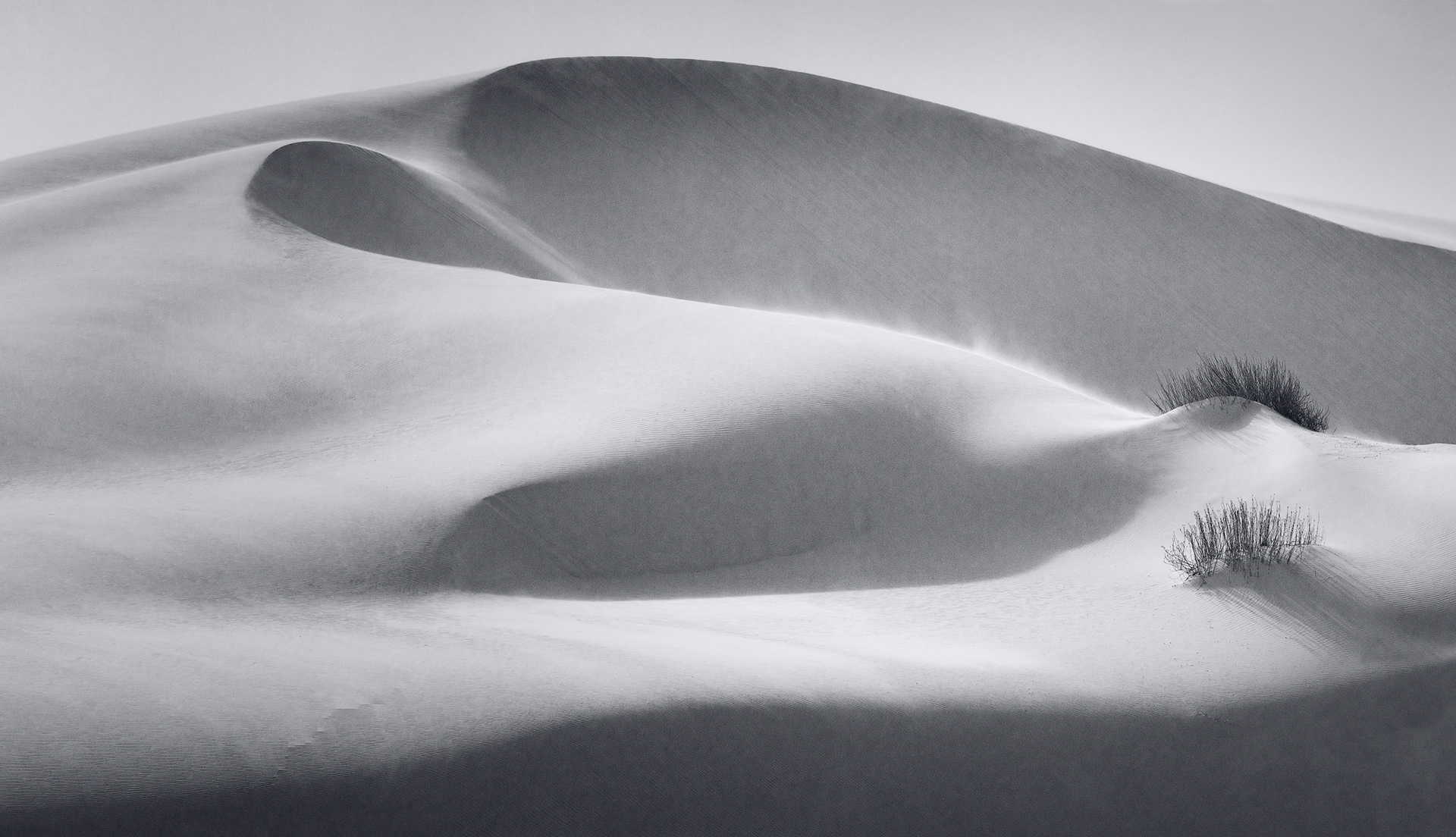 Eyes of the Dunes