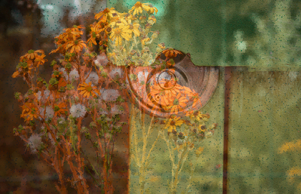 Desleutelbloemen