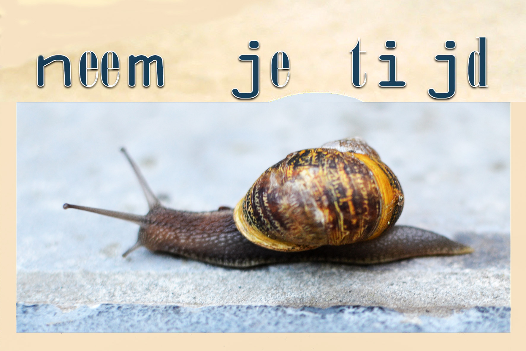 'met kleine pasjes'