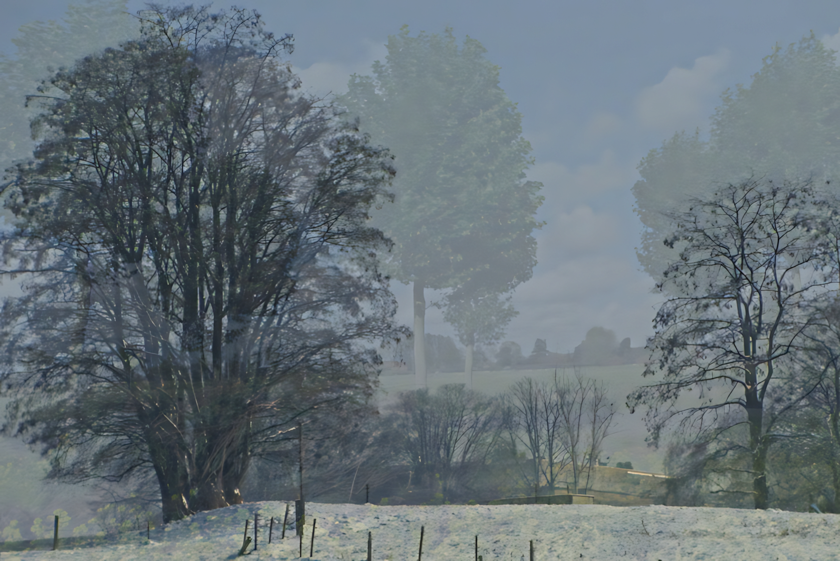 zomer & winter