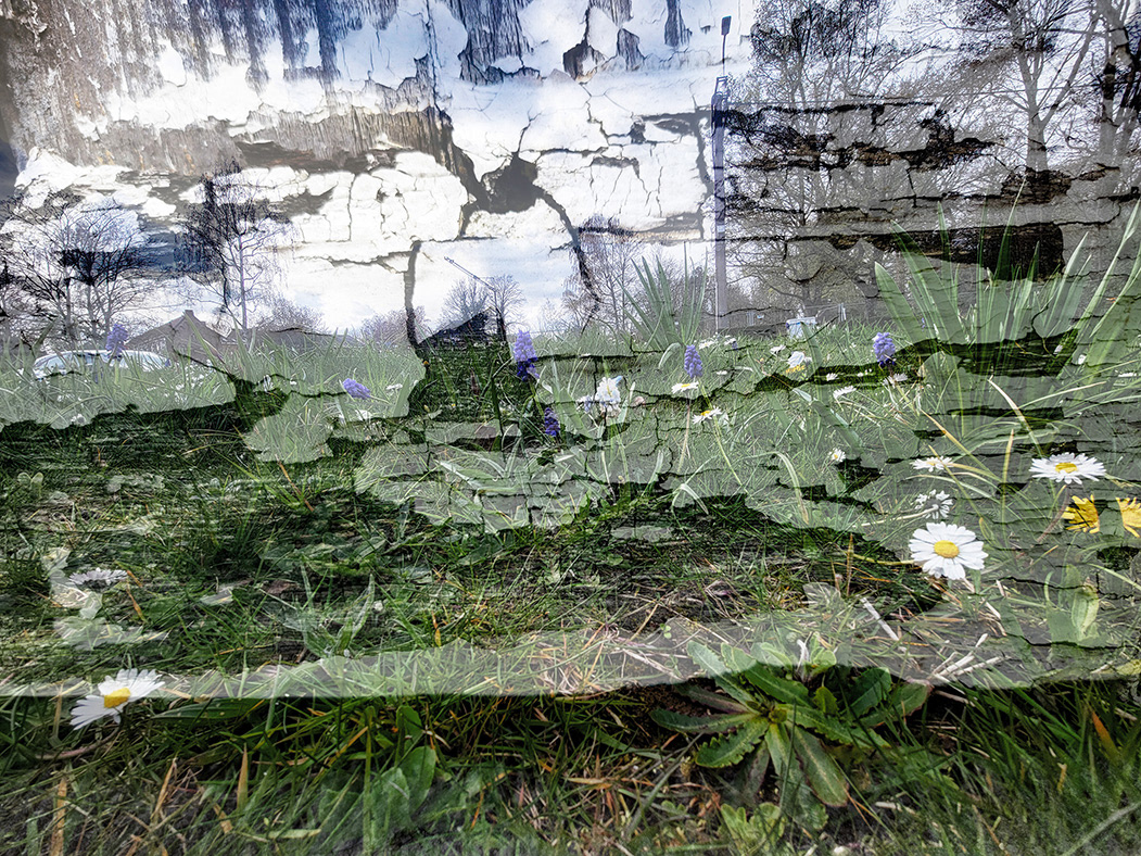 Bloemenverf