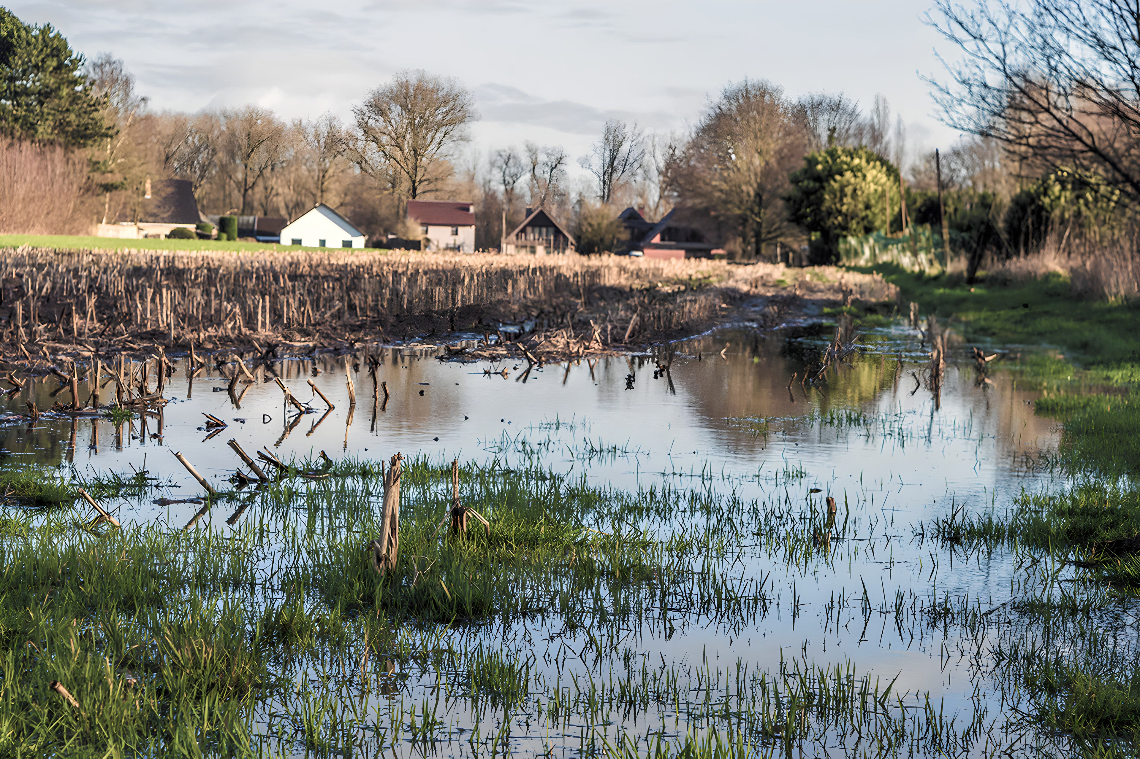 'waterland'