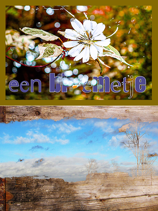 DUOSET: Bloemetje & Hoop