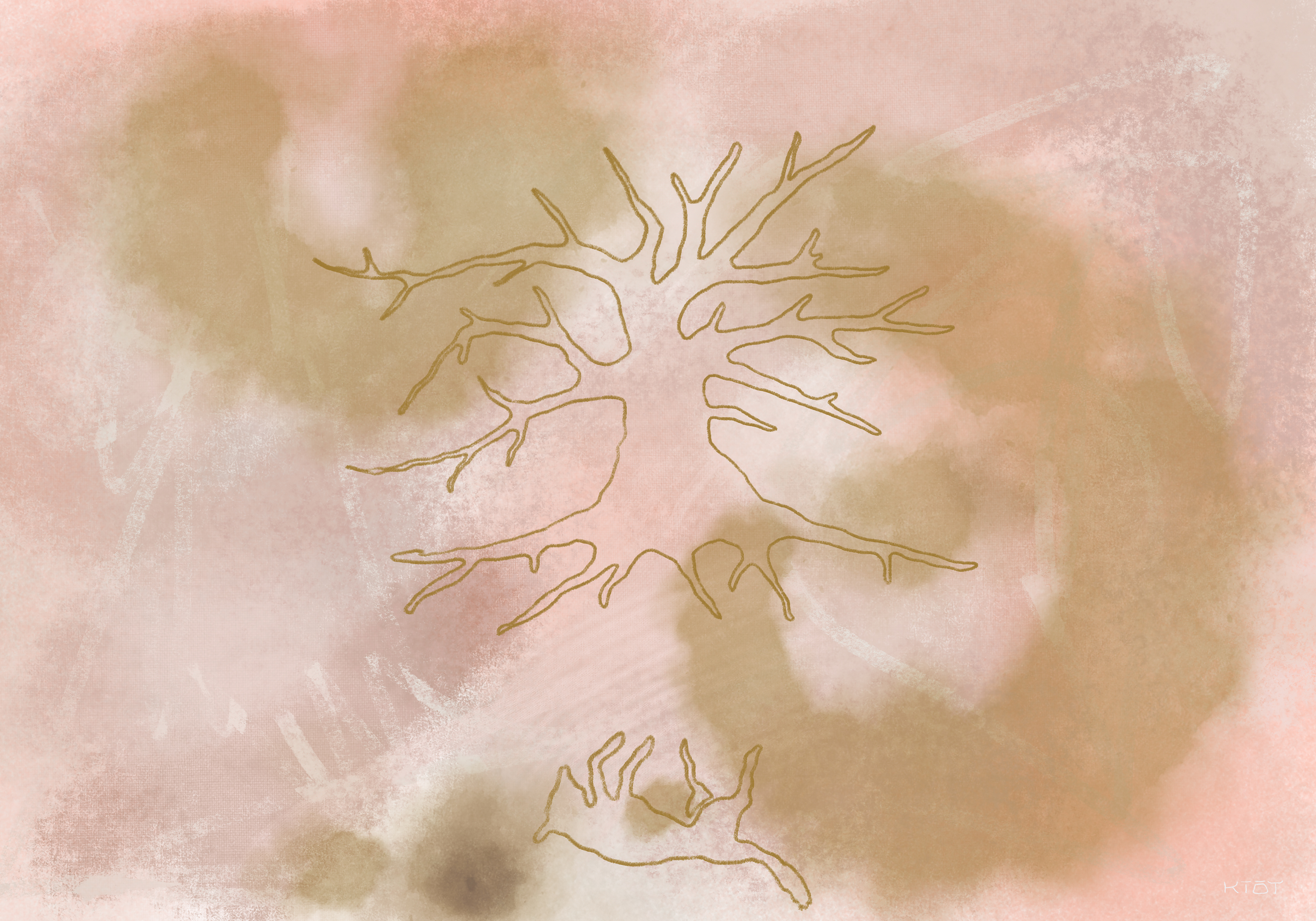 Rest | Seed