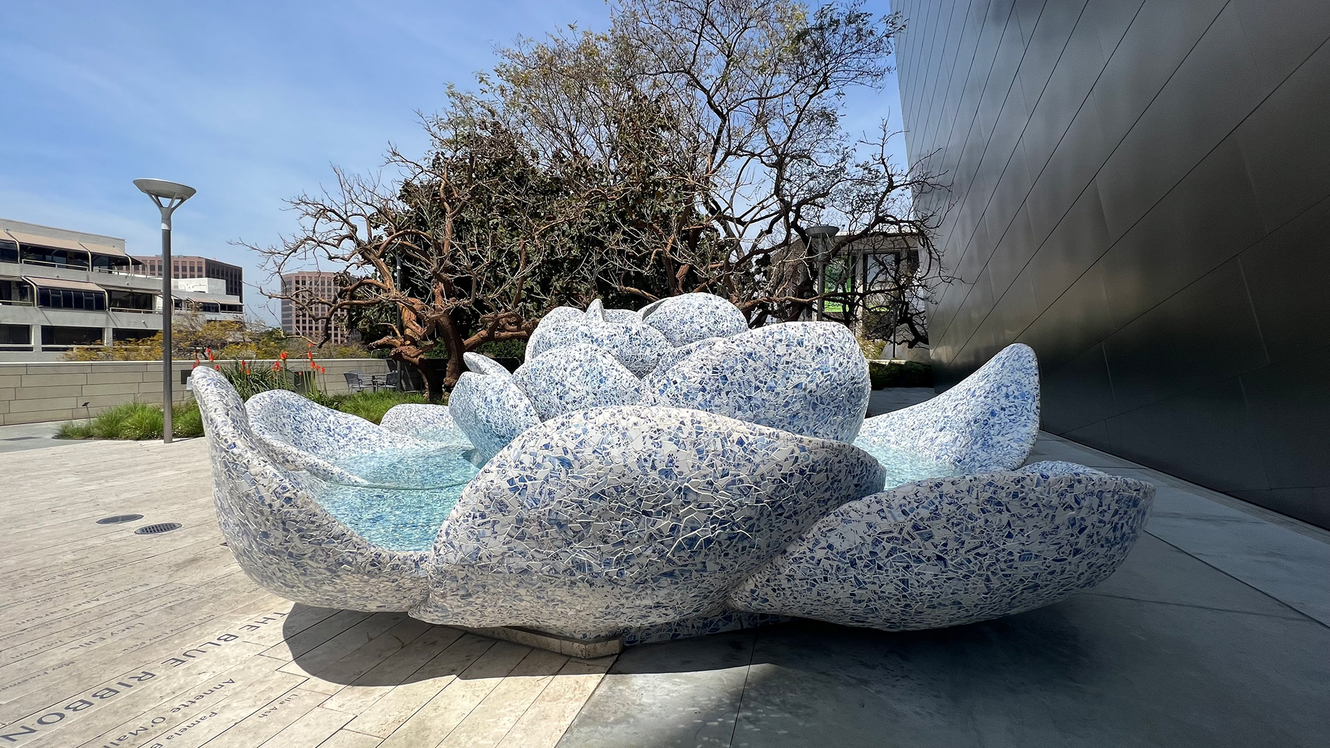 Justin Knause - Walt Disney Concert Hall & The Blue Ribbon Garden