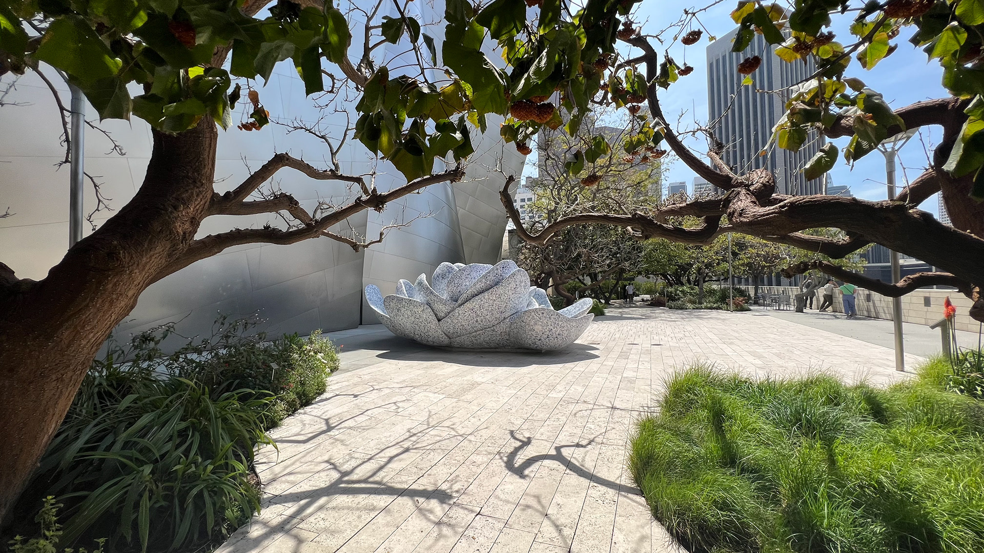 Justin Knause - Walt Disney Concert Hall & The Blue Ribbon Garden
