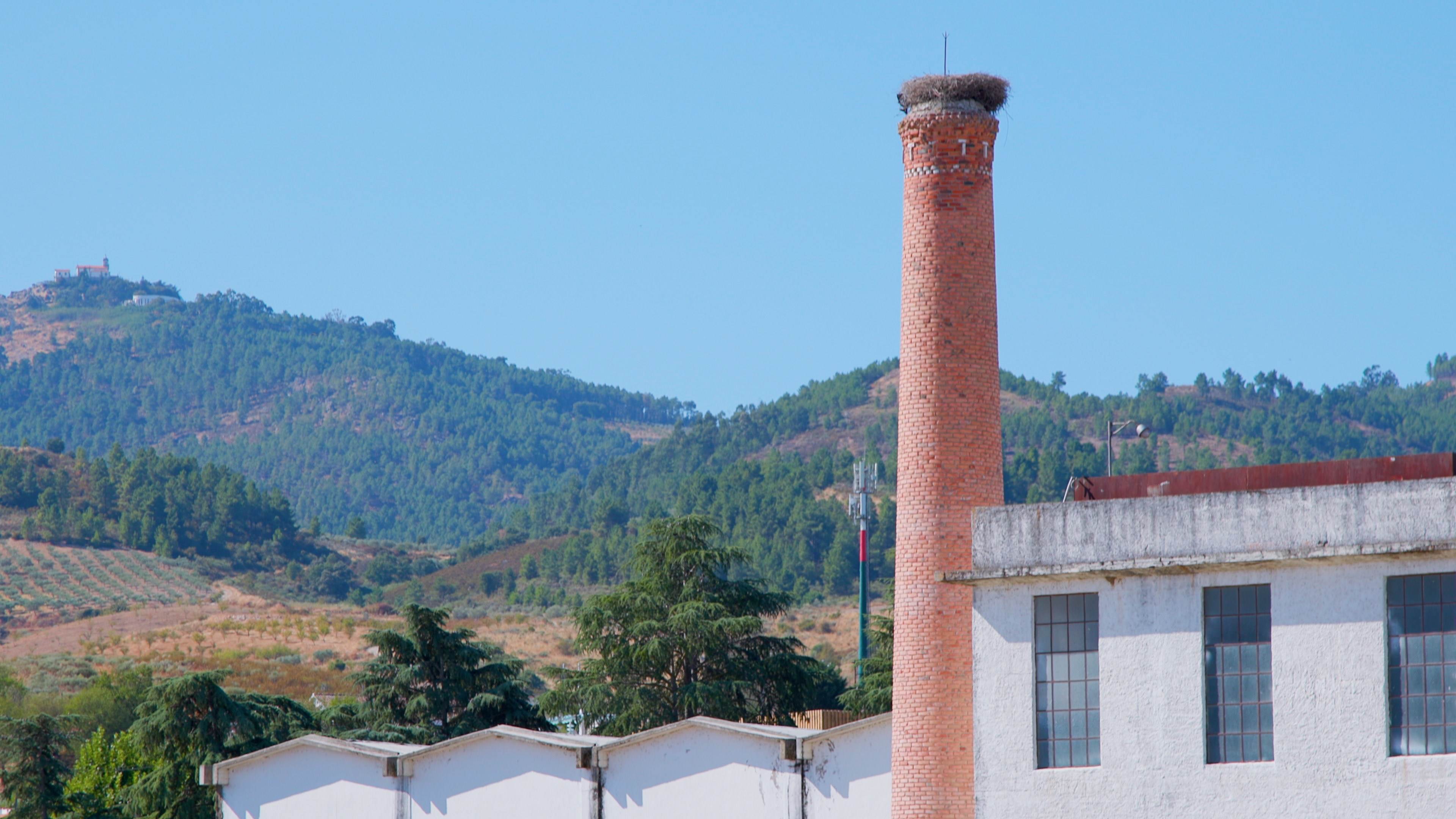 Comunidade Intermunicipal das Terras de Trás os Montes