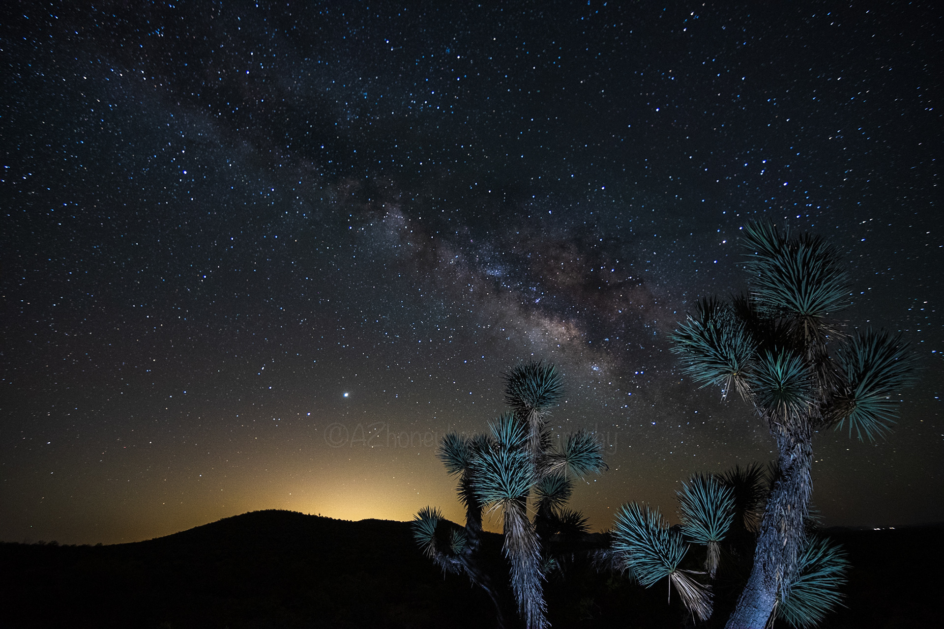 Joshua trees and Milky Way