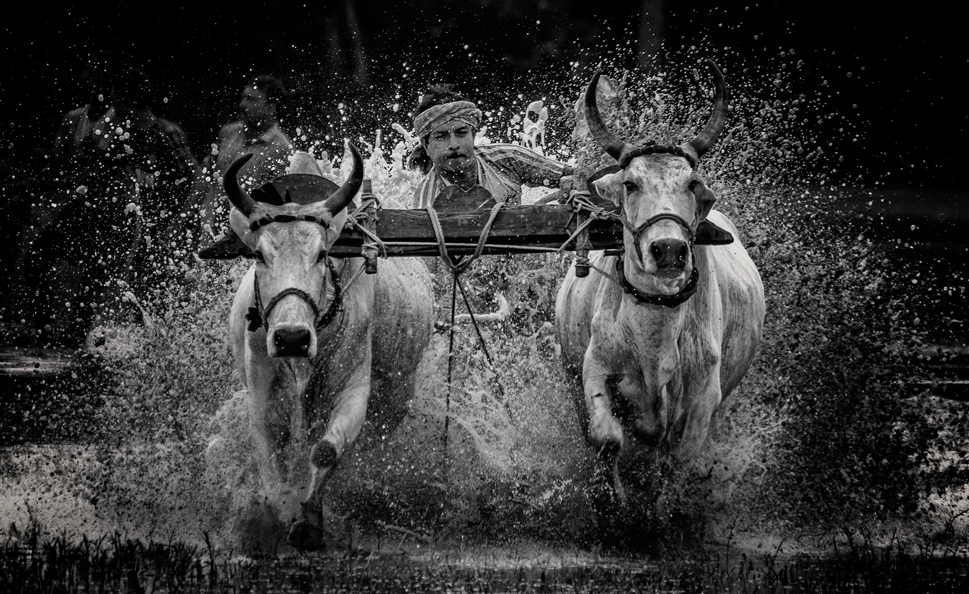 Mud runner (South Bengal, India)
