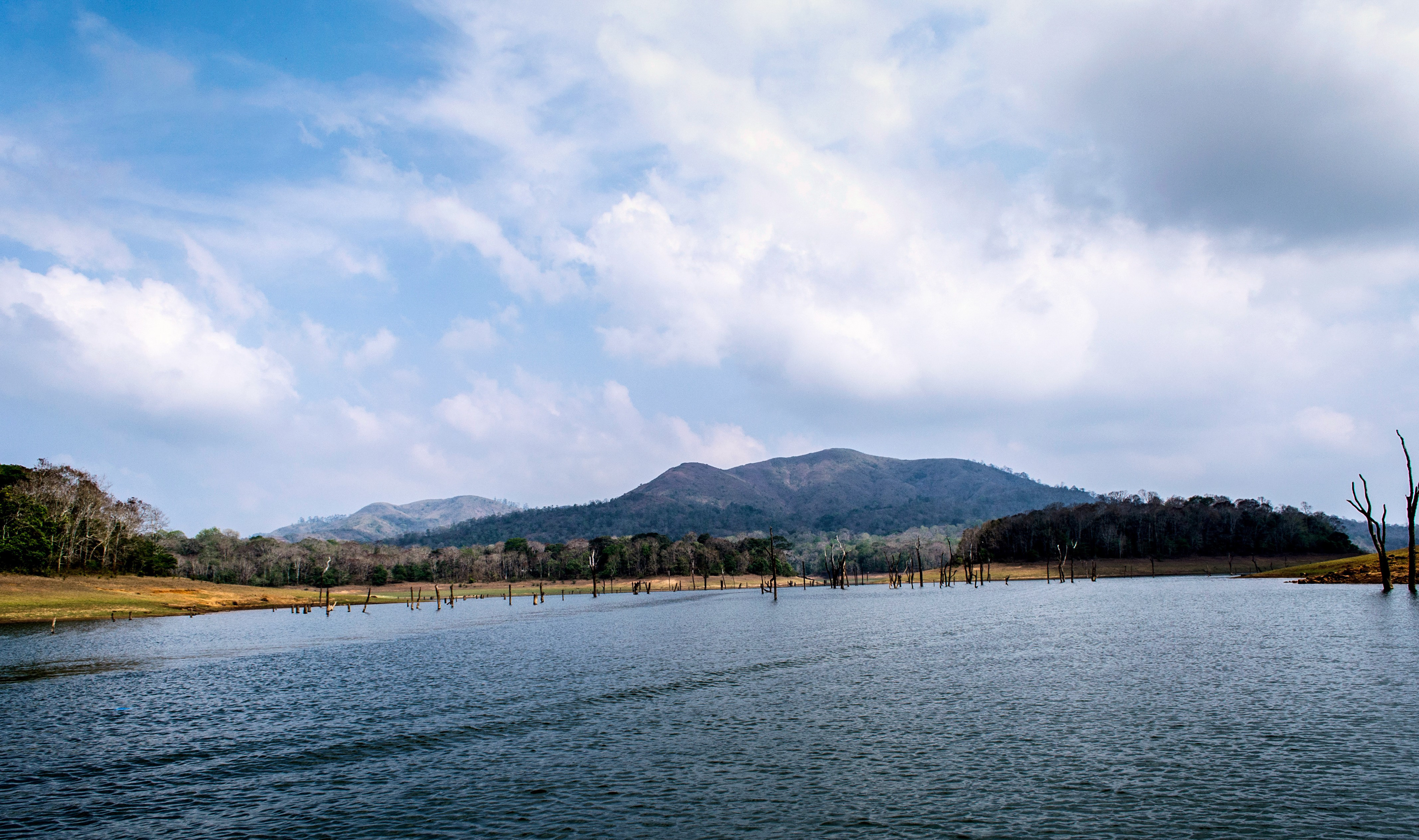 God's own country (Periyar National Park, India)