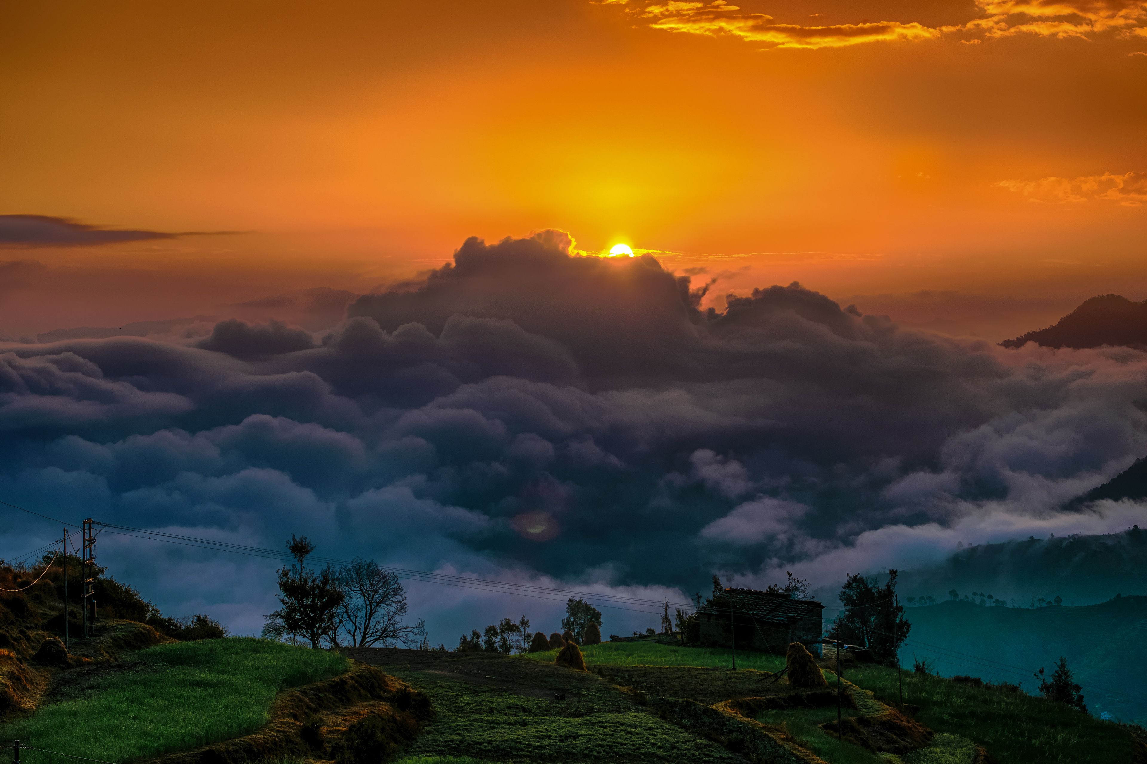 Hide & Sick (Binsar, India)