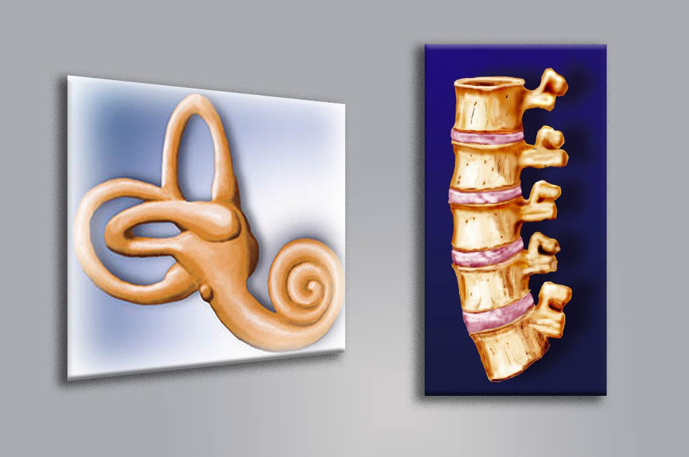 Wissenschaftliche Illustrationen für medical pictures