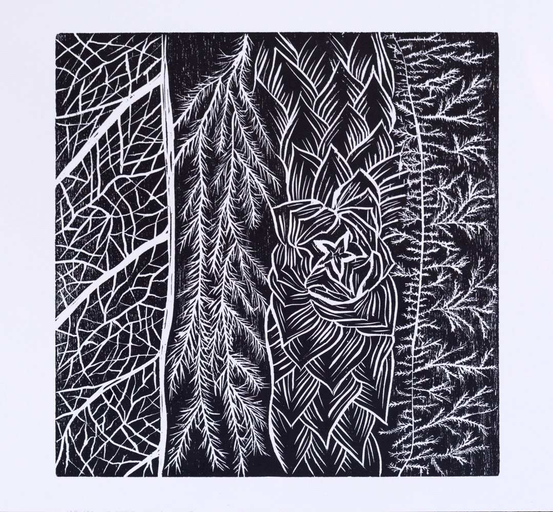Fractals | Woodcut | 12" x 12" | 2022