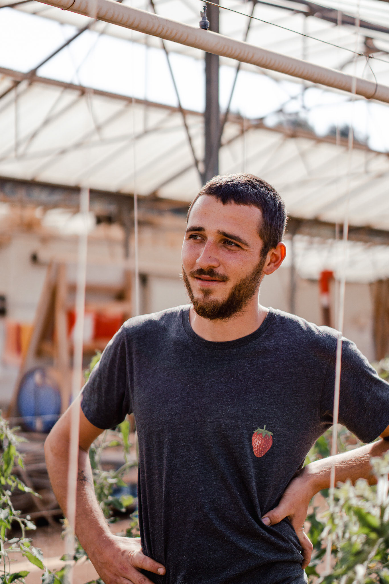 2308 producteur de fraises