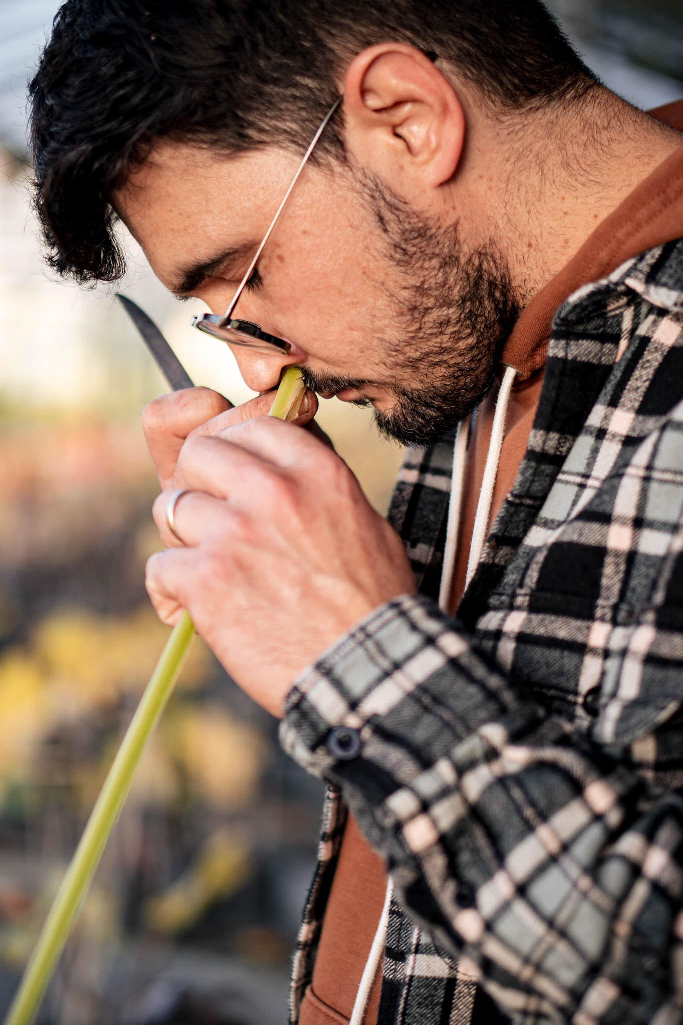 2310 productrice d'argumes