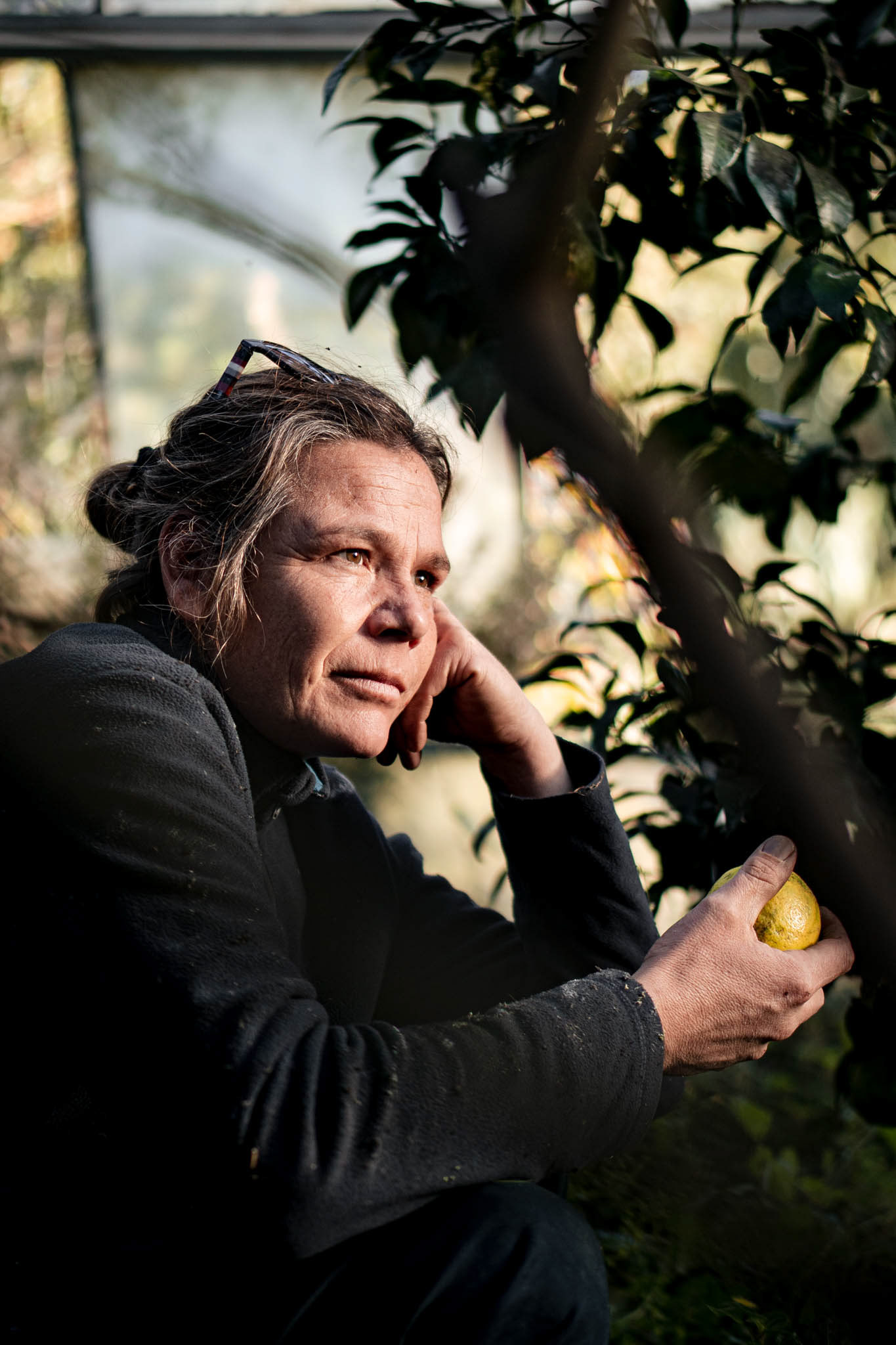 2310 productrice d'argumes