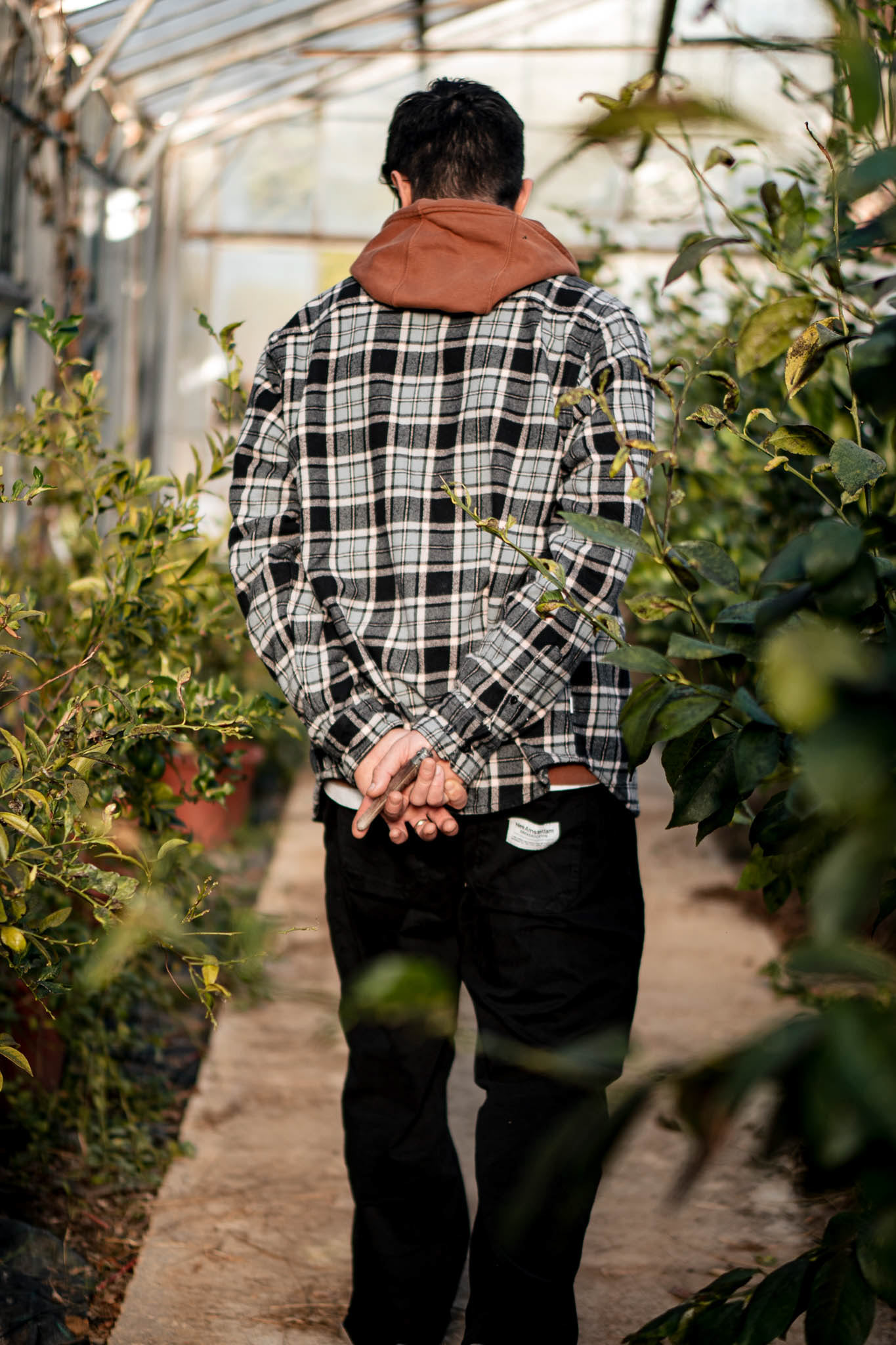 2310 productrice d'argumes