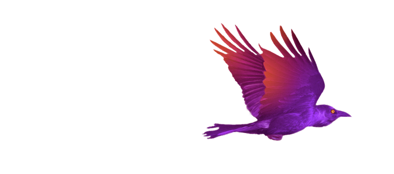 L I S A   D A E