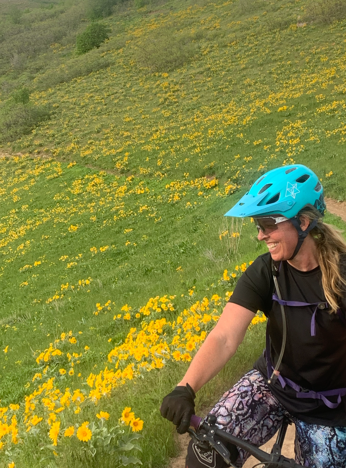 Early spring foothill flowers. Biking on the BST trail.