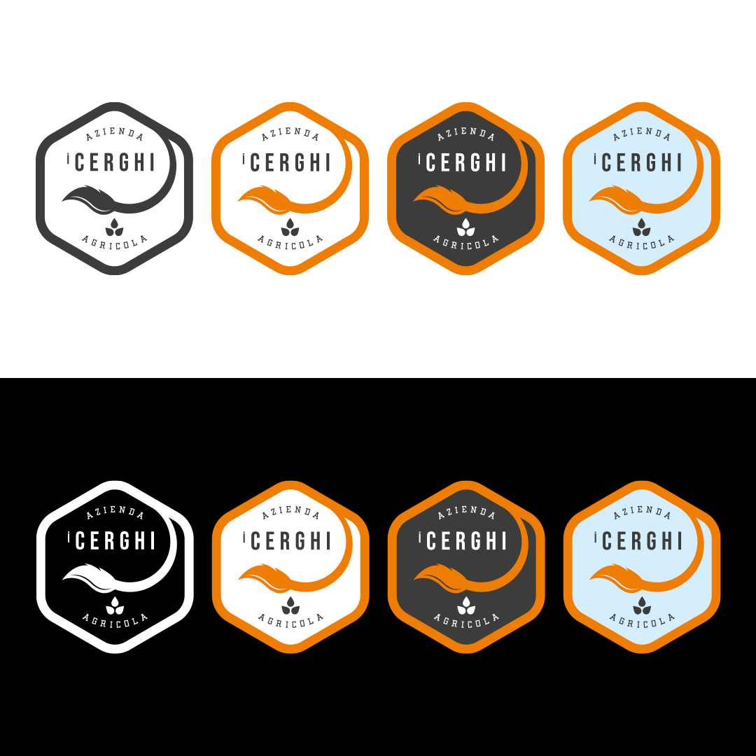 Logo i Cerghi applicato su sfondo chiaro e sfondo scuro con versioni positiva e negativa del marchio.